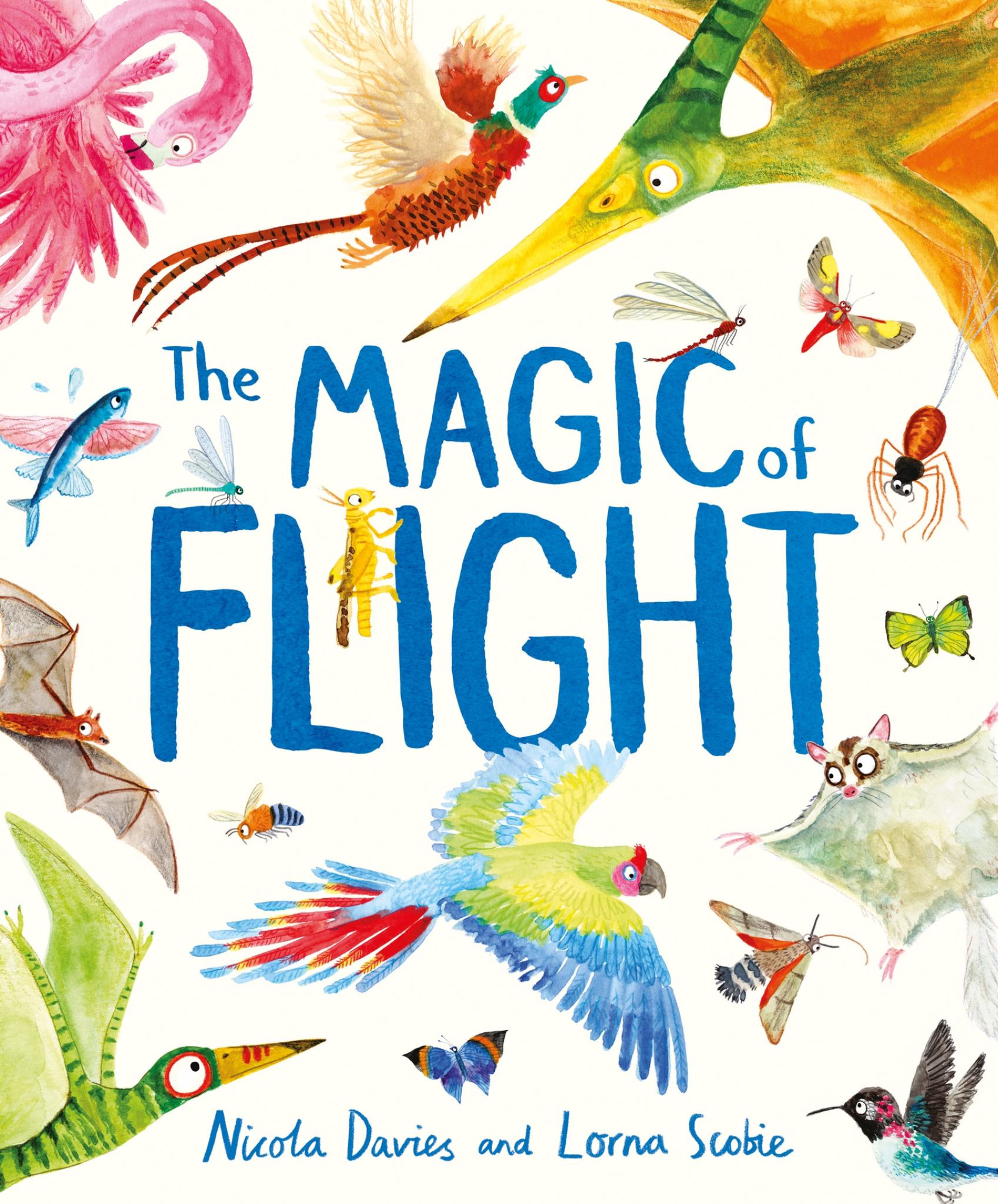 The Magic of Flight Cover Image