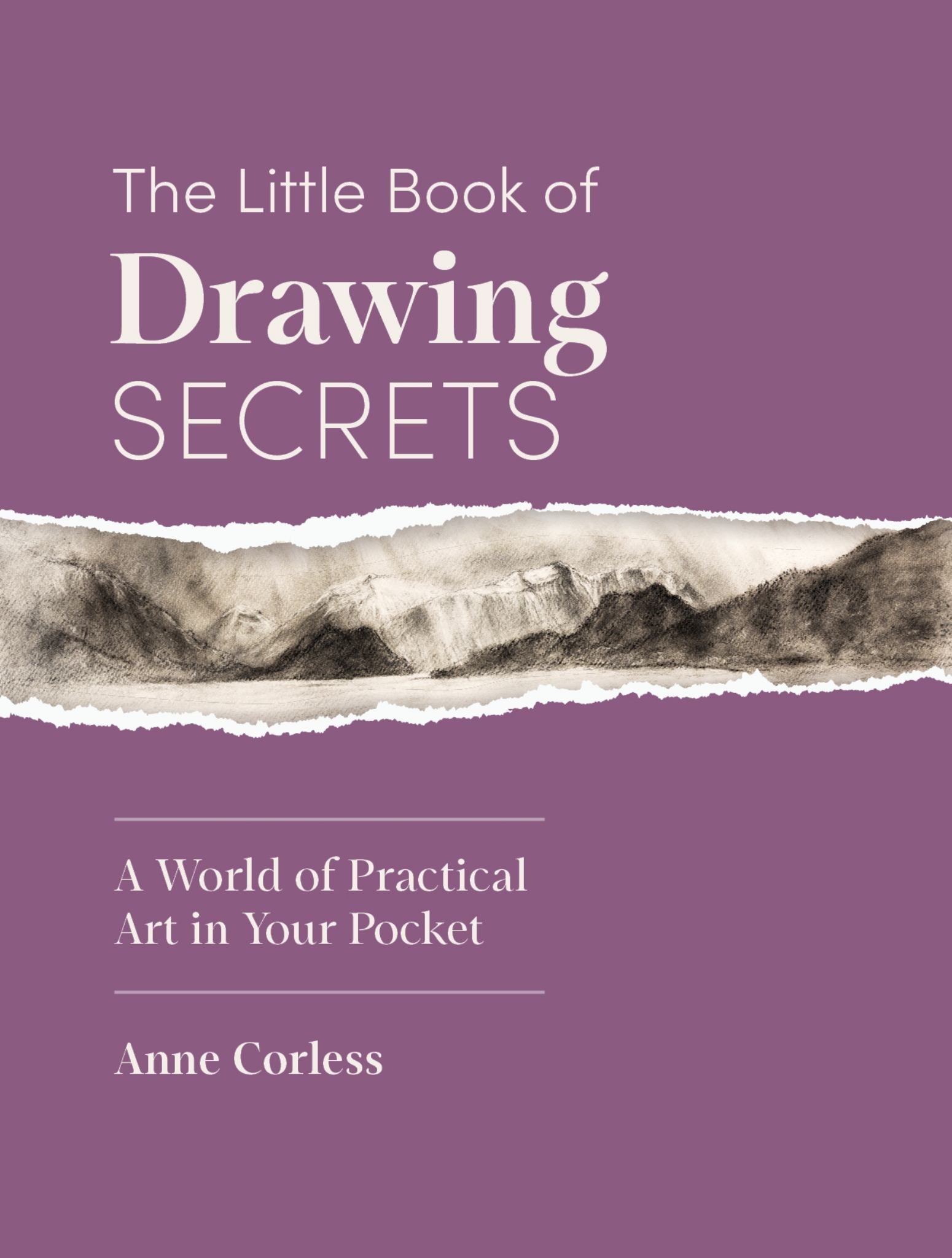 The Little Book of Drawing Secrets Cover Image