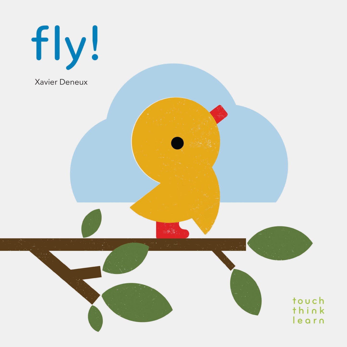 TouchThinkLearn: Fly! Cover Image