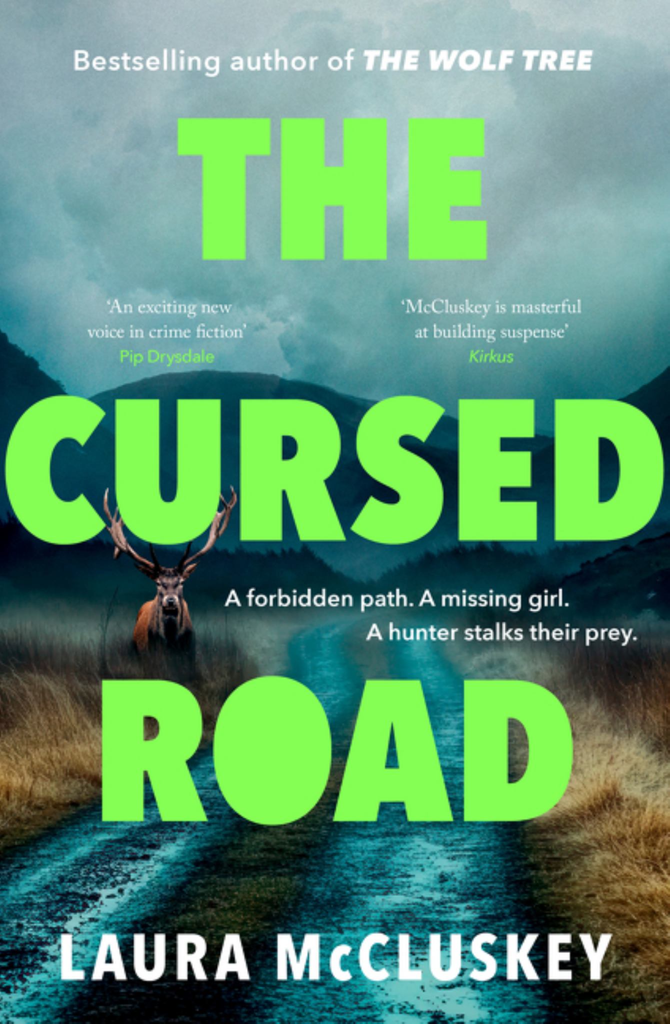 The Cursed Road Cover Image