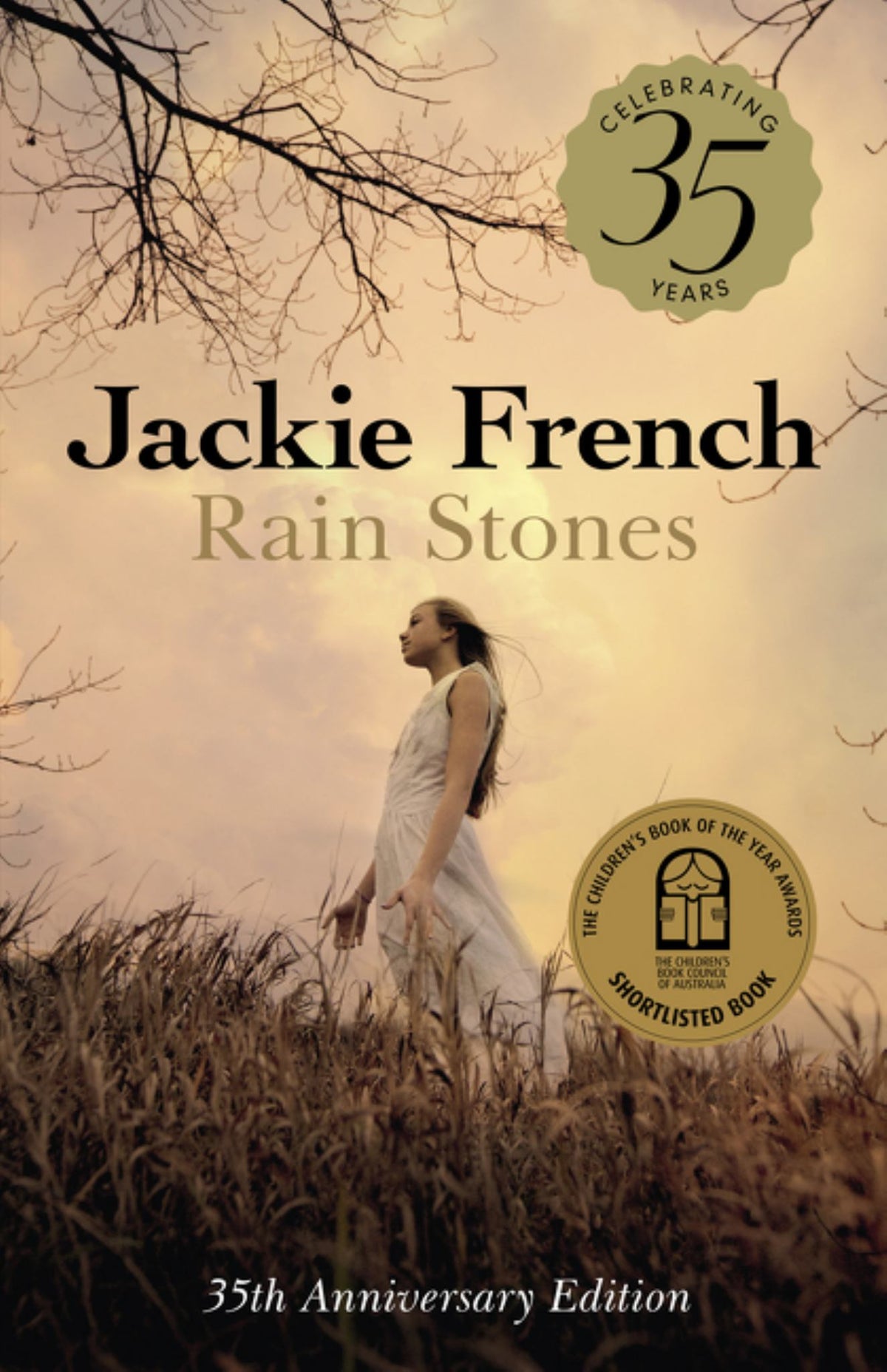 Rain Stones Cover Image