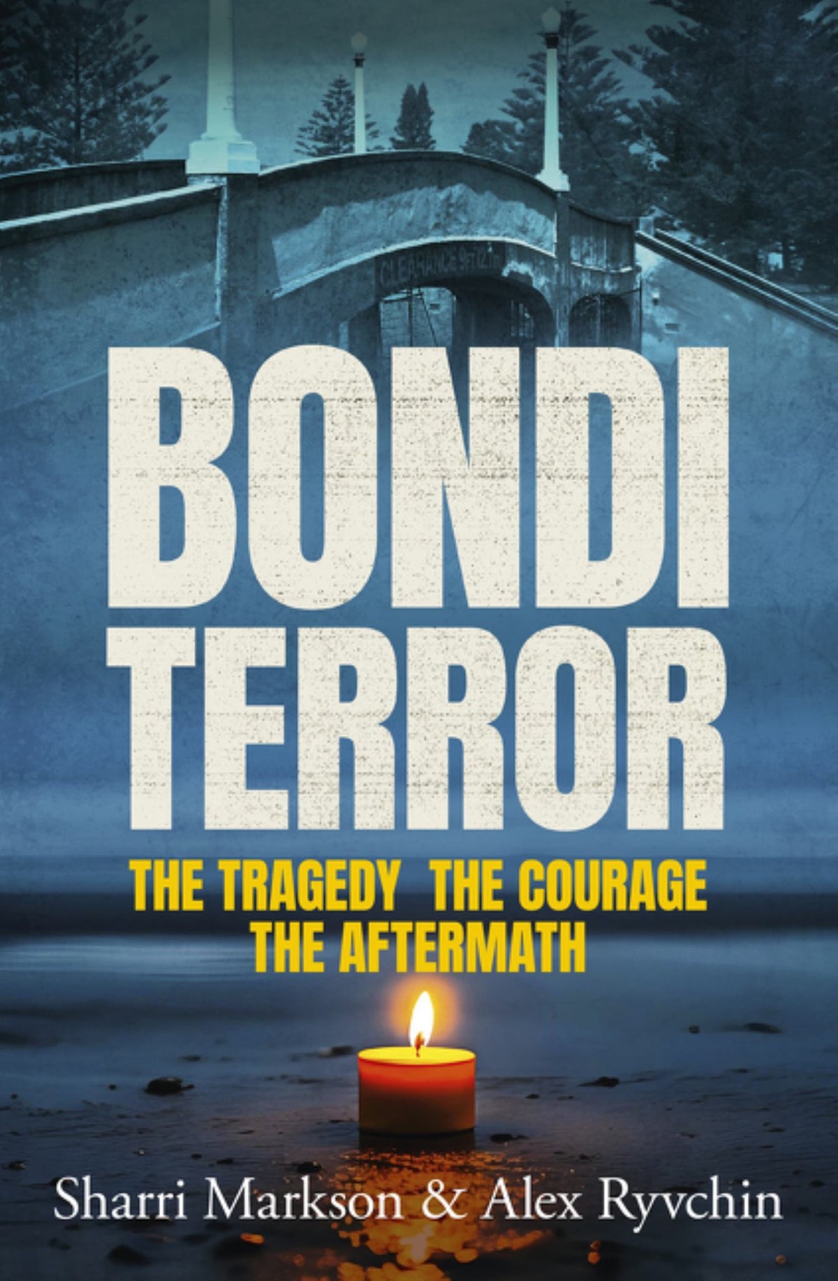 Bondi Terror Cover Image