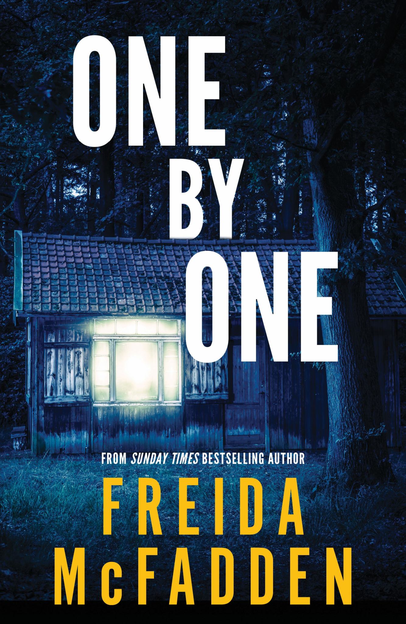 One by One Cover Image