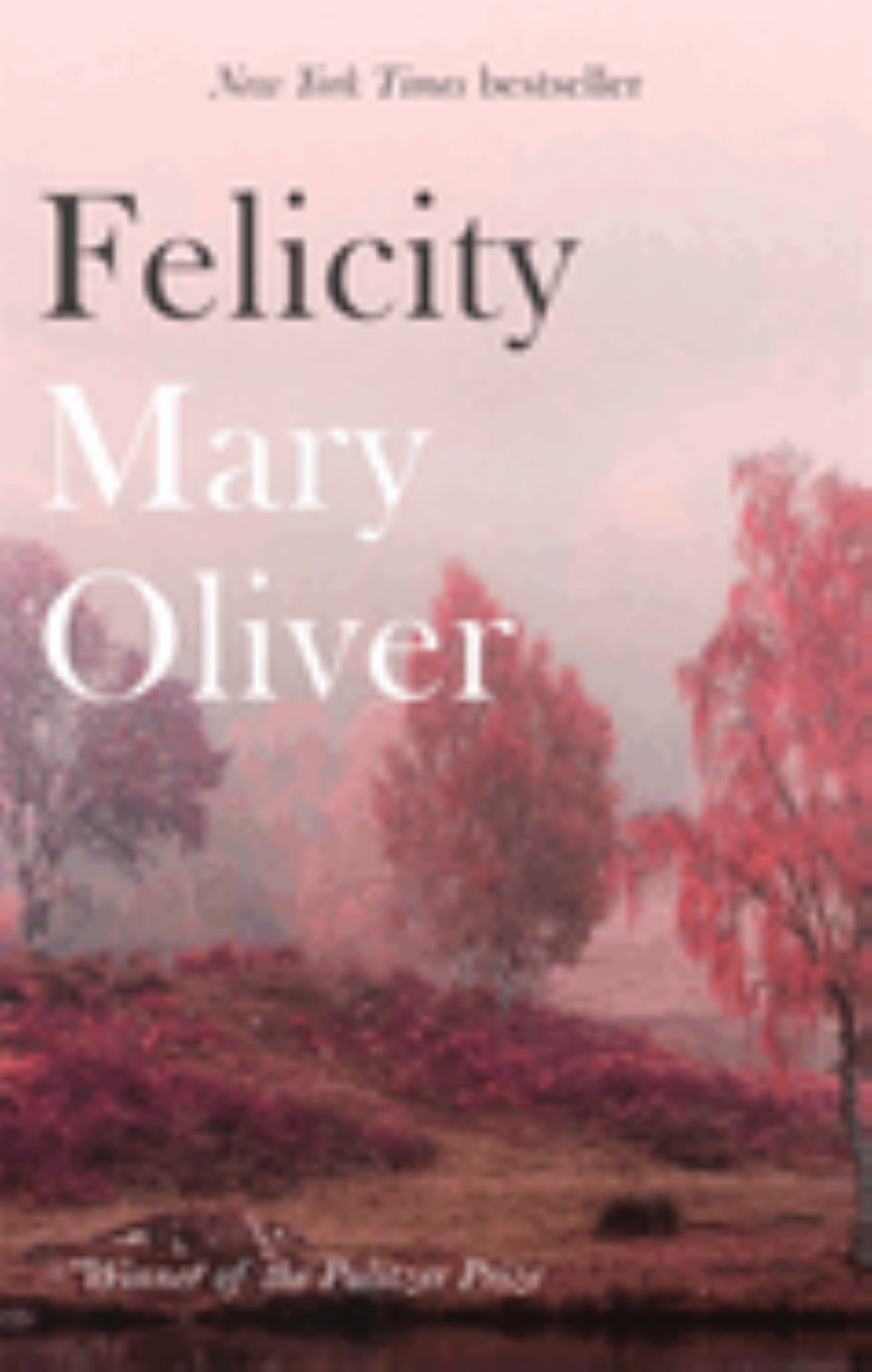 Felicity Cover Image