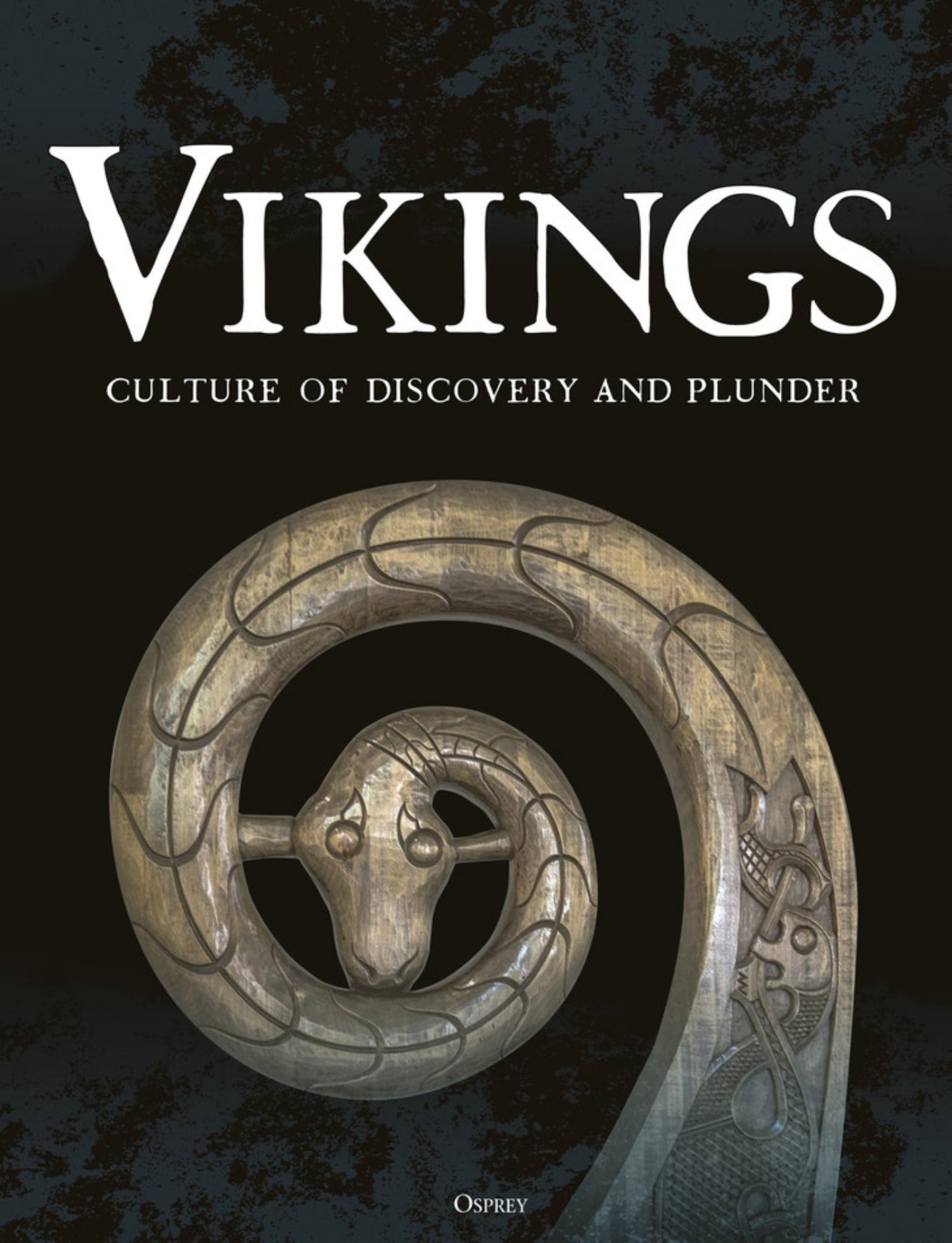 Vikings Cover Image