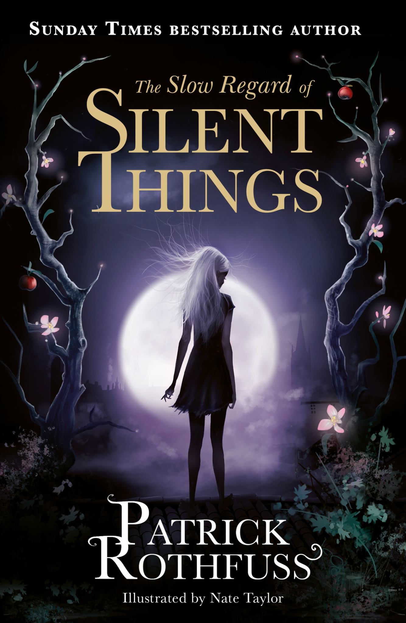The Slow Regard of Silent Things Cover Image