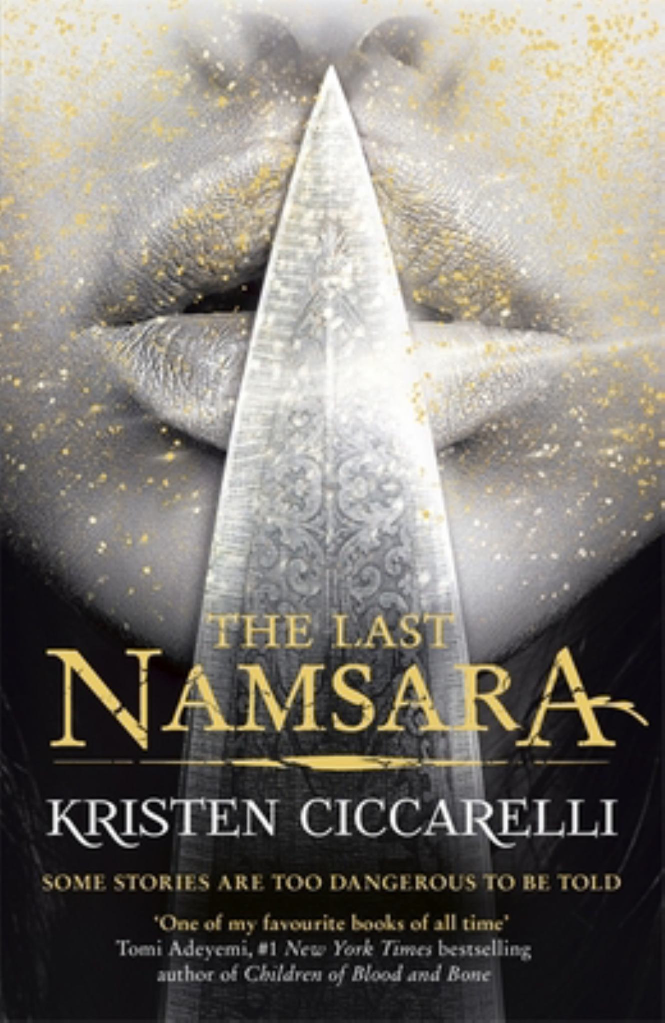 The Last Namsara Cover Image