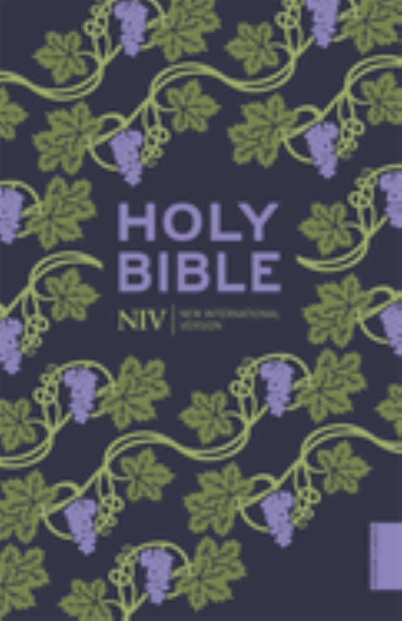 NIV Holy Bible (Hodder Classics) Cover Image