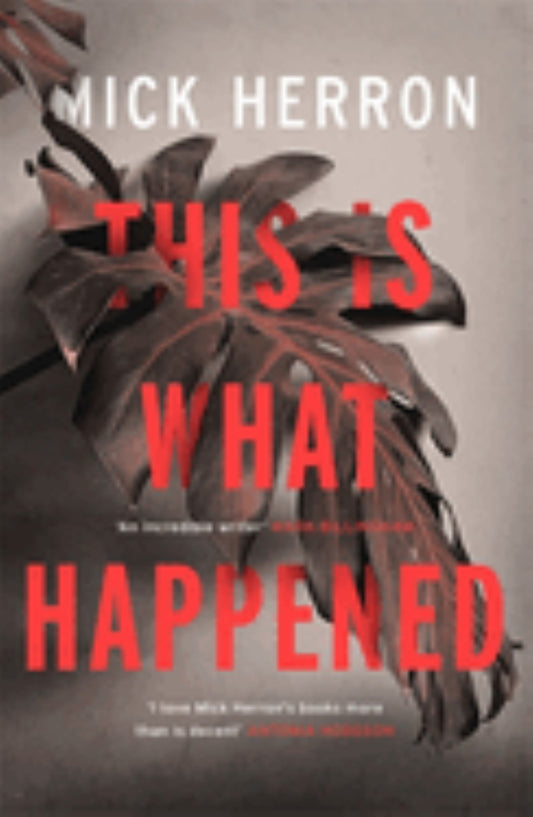 This Is What Happened Cover Image