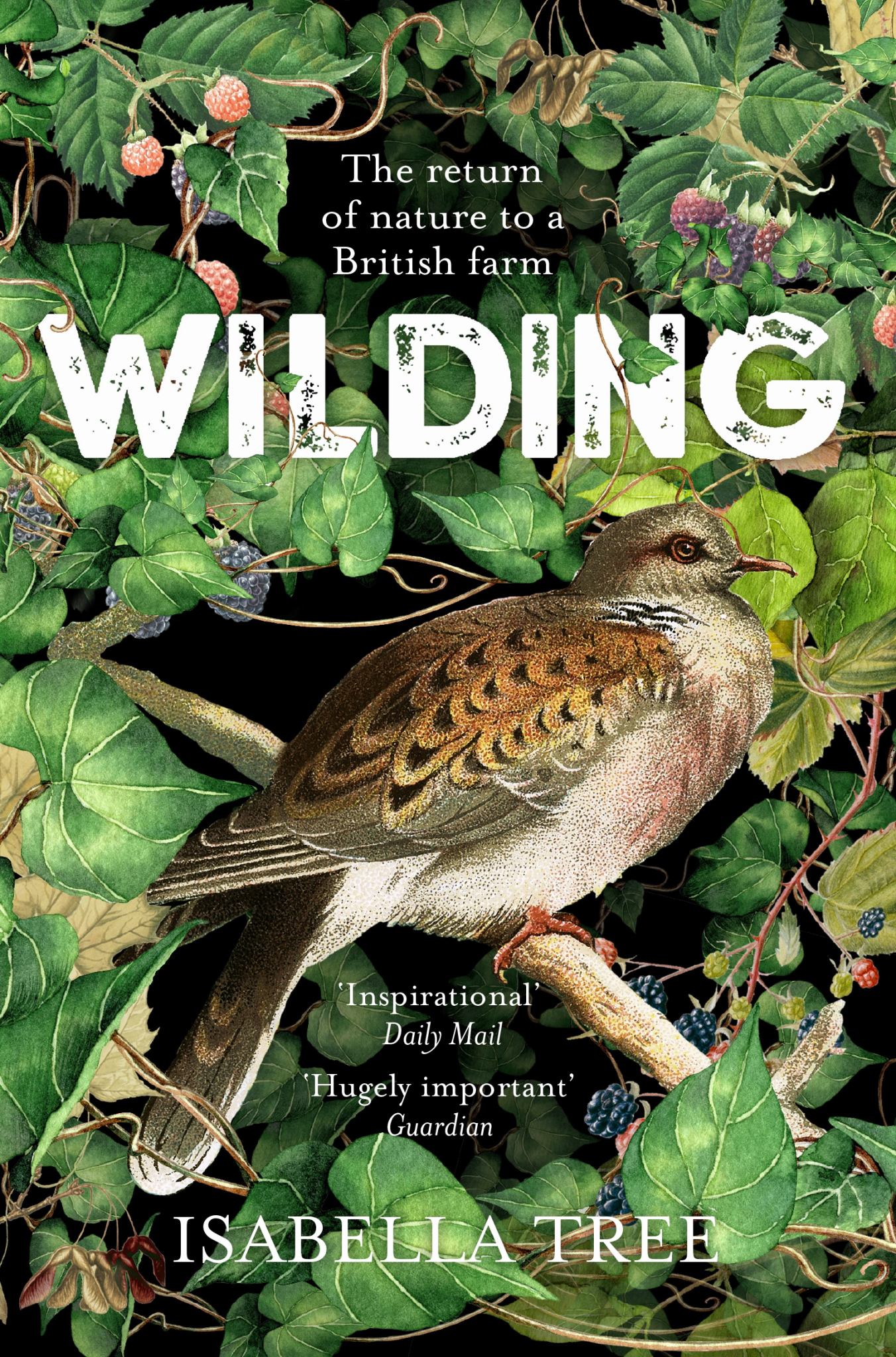 Wilding Cover Image