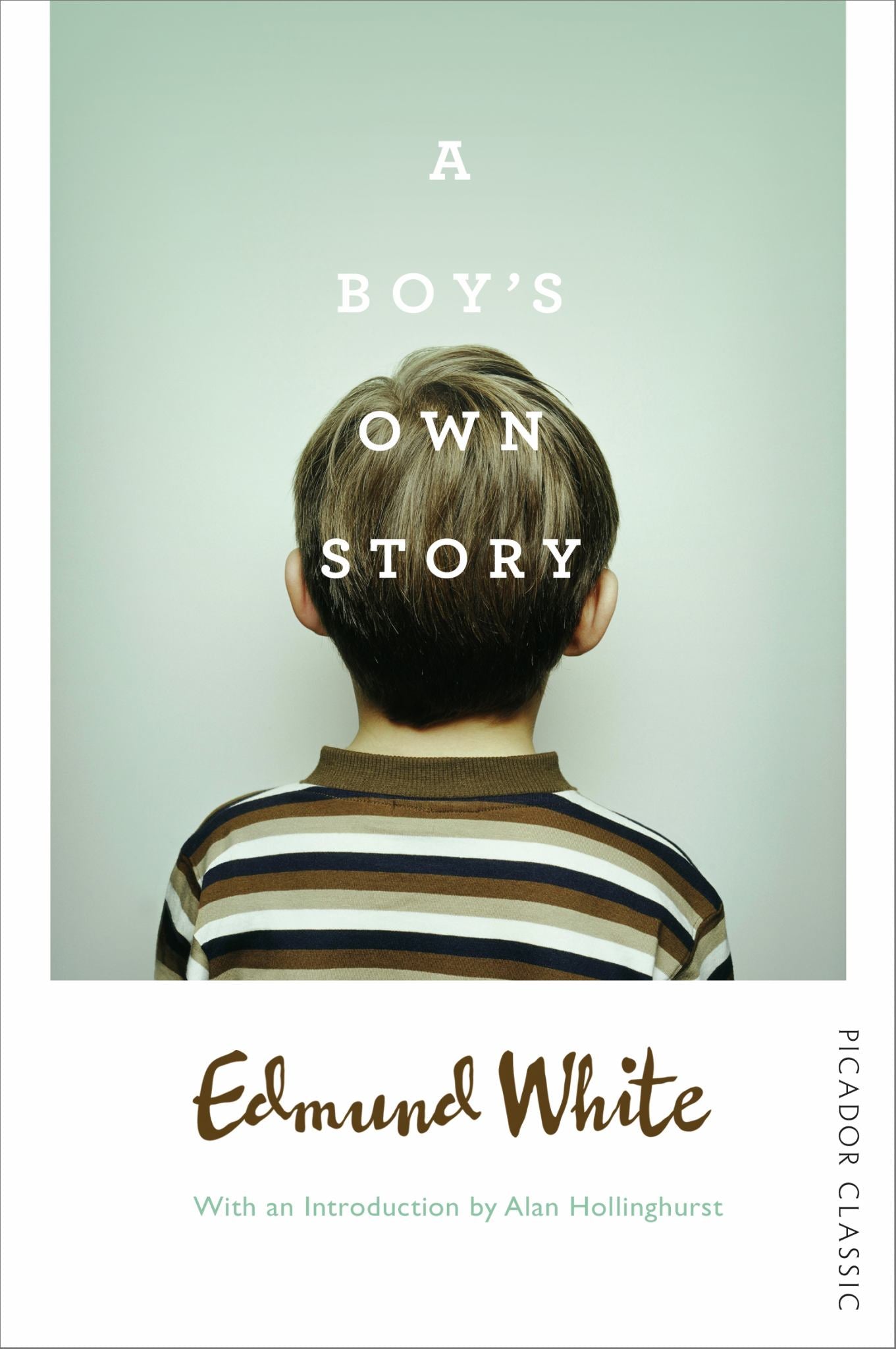 A Boy's Own Story Cover Image