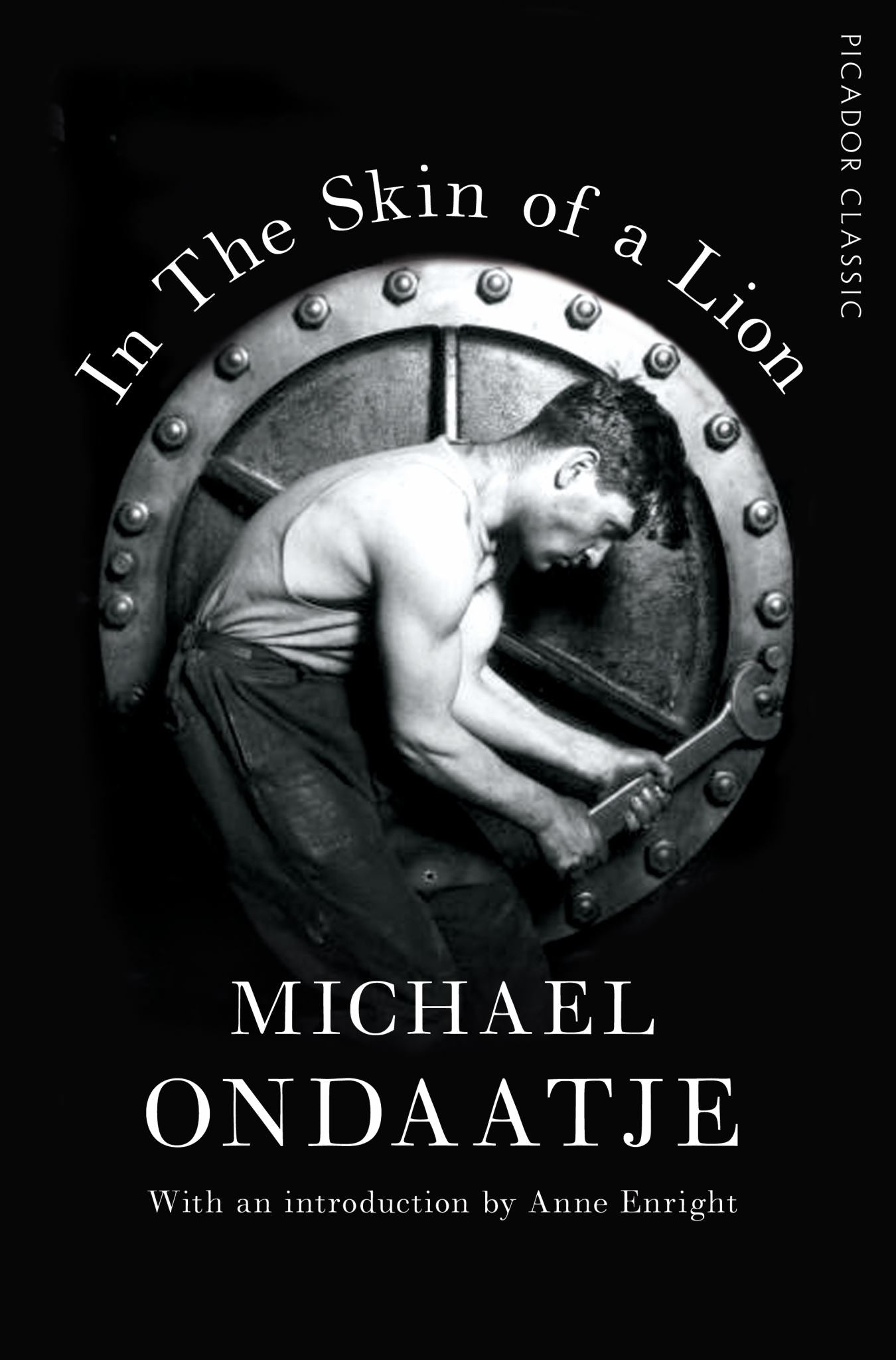 In the Skin of a Lion Cover Image