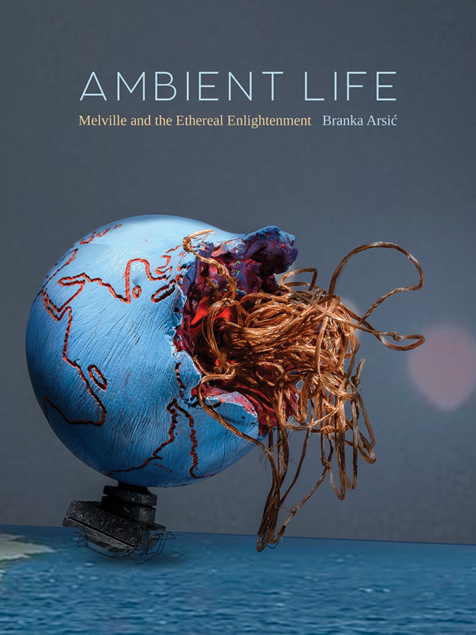 Ambient Life Cover Image