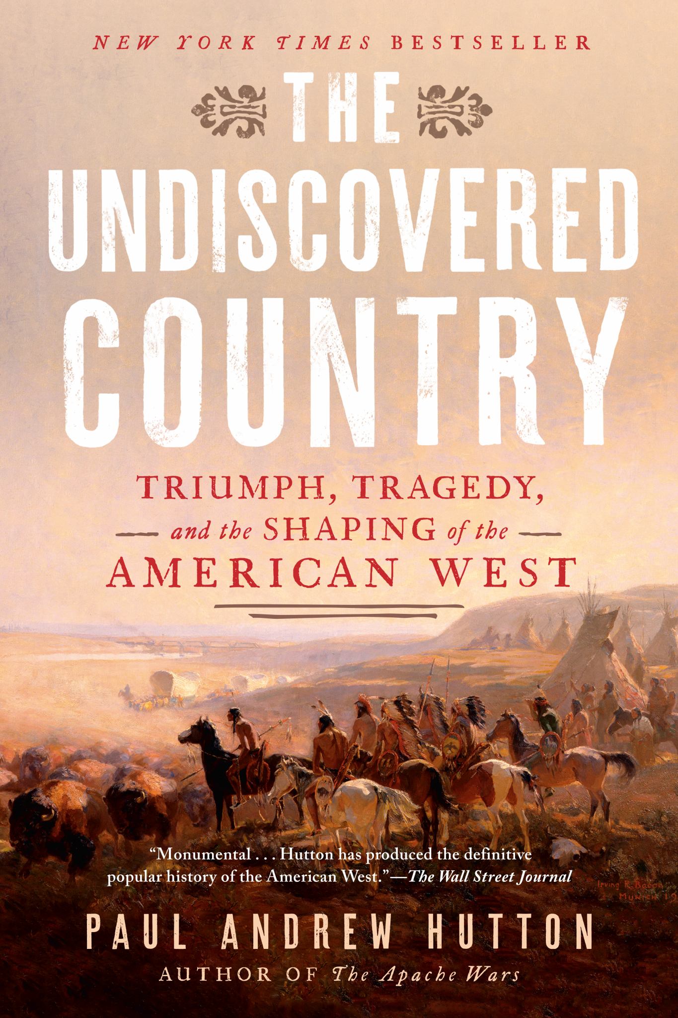 The Undiscovered Country Cover Image