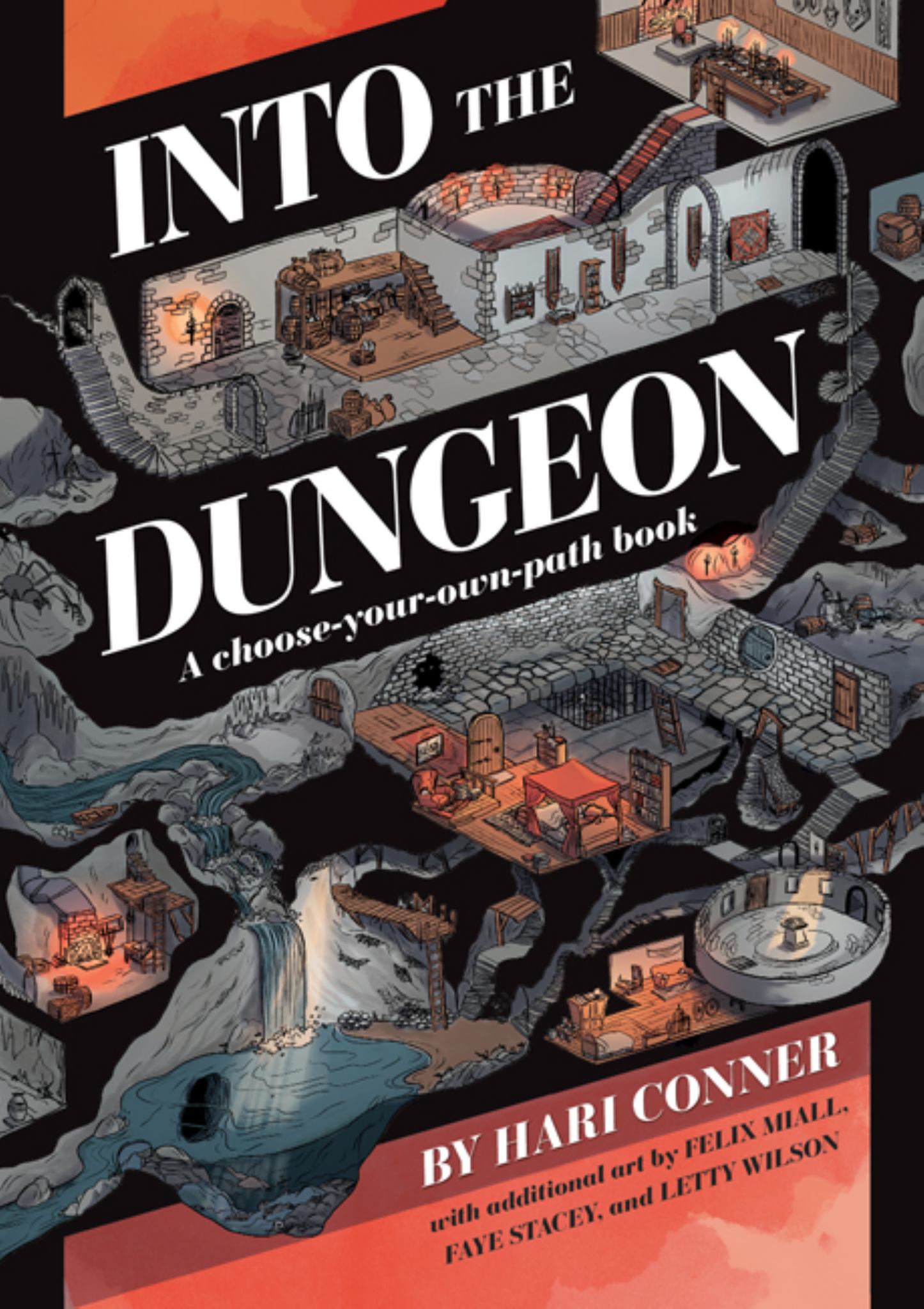 Into the Dungeon Cover Image