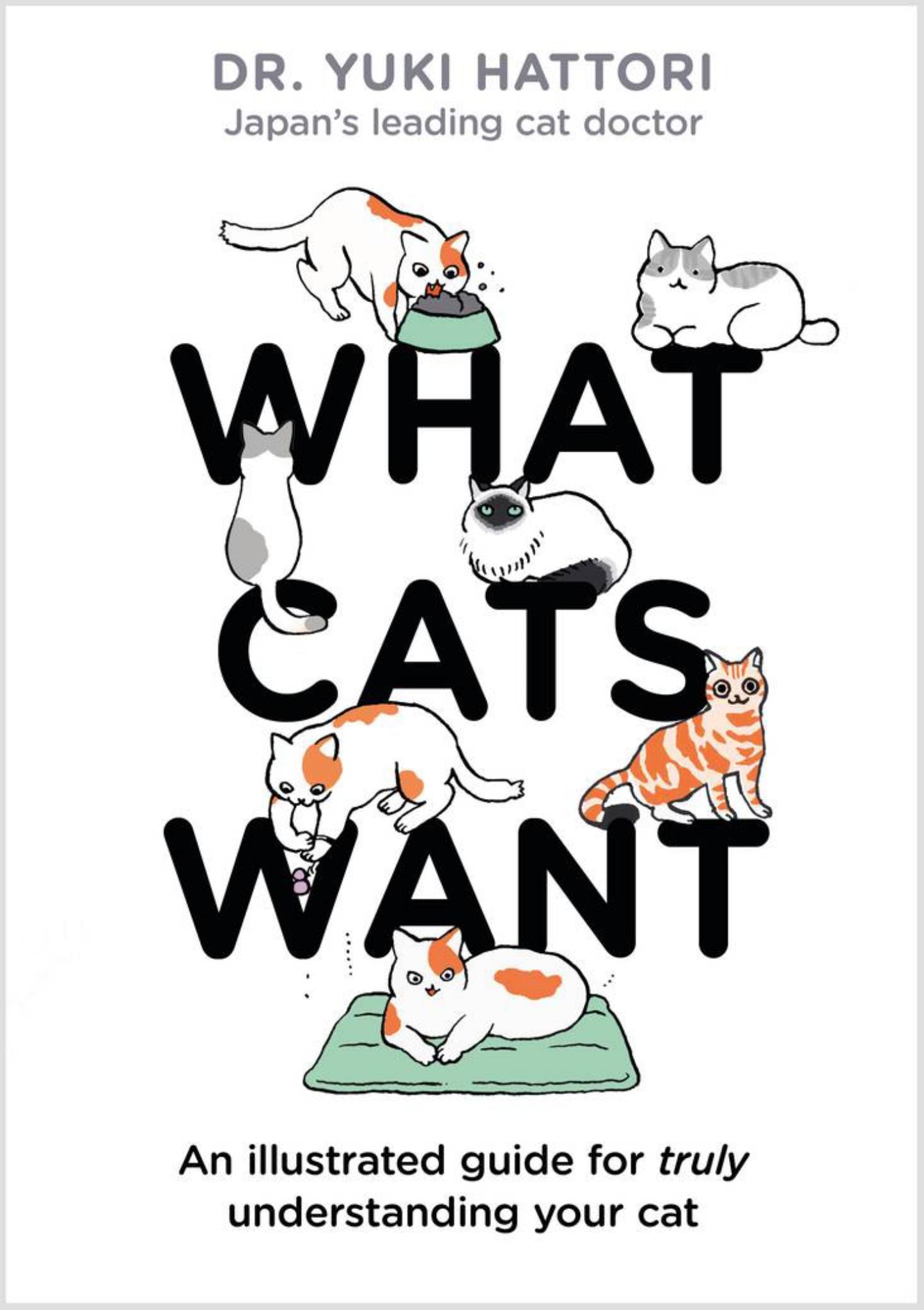 What Cats Want Cover Image