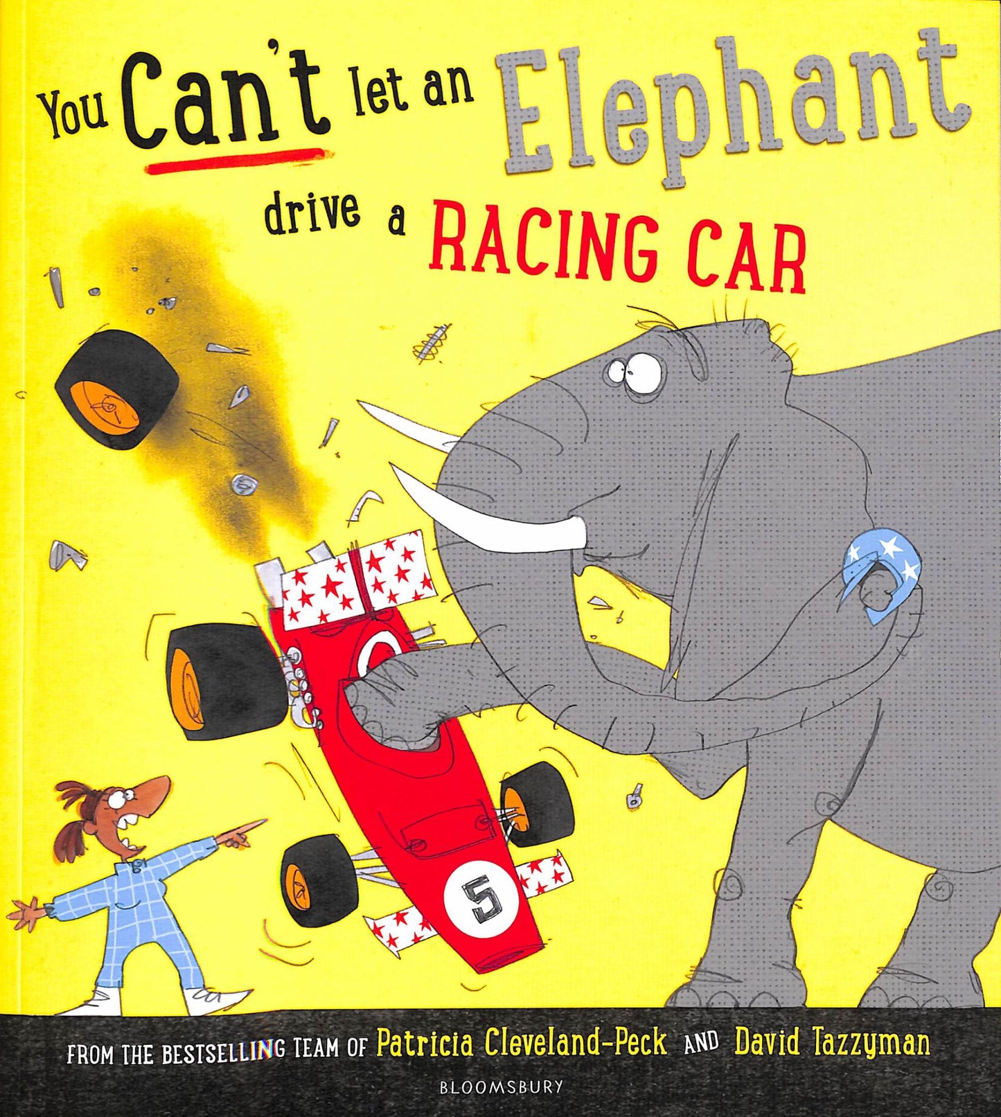You Can't Let an Elephant Drive a Racing Car Cover Image