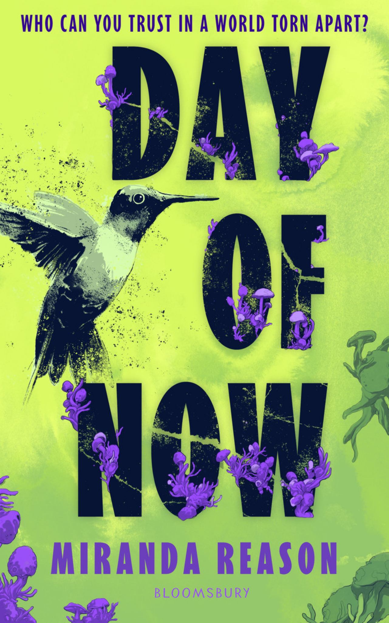 Day of Now Cover Image