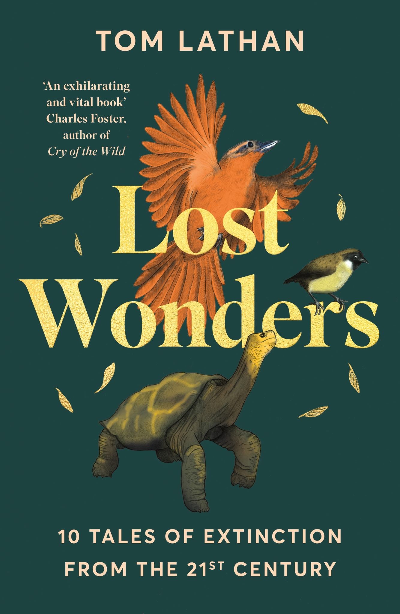 Lost Wonders Cover Image