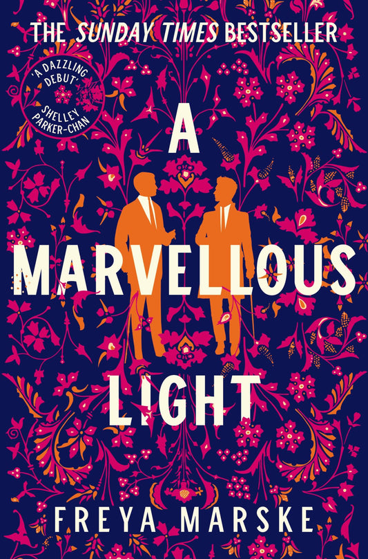 A Marvellous Light Cover Image