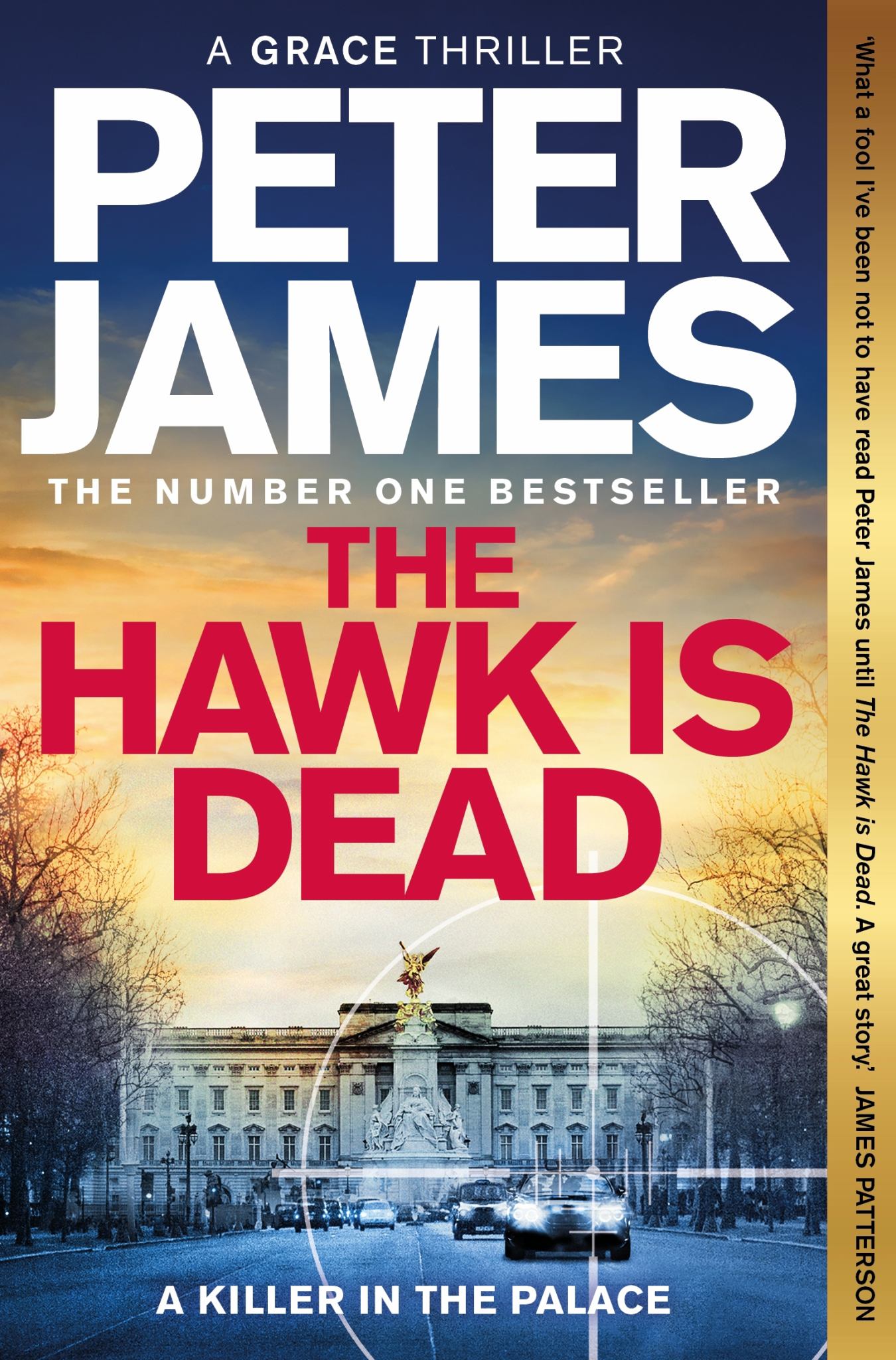 The Hawk Is Dead Cover Image