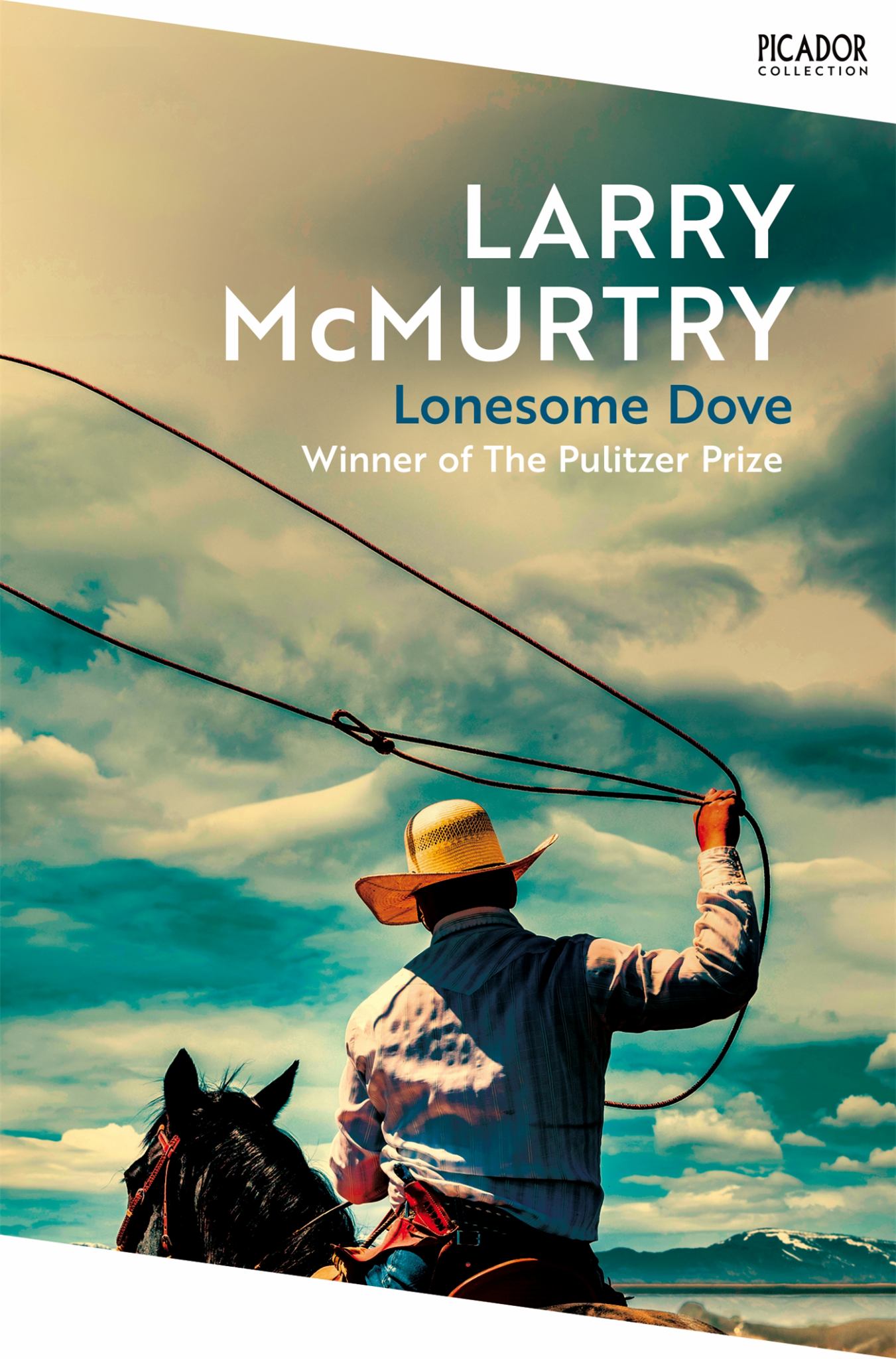 Lonesome Dove Cover Image