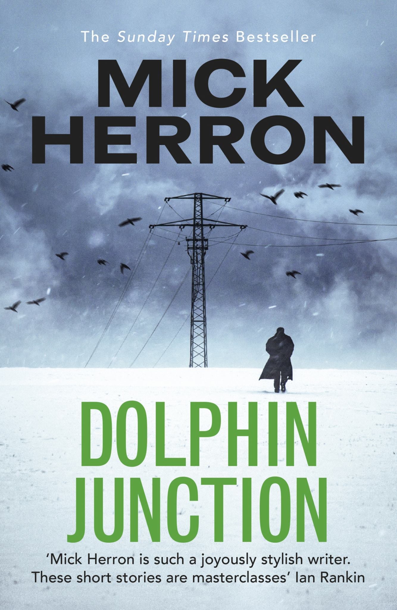 Dolphin Junction Cover Image