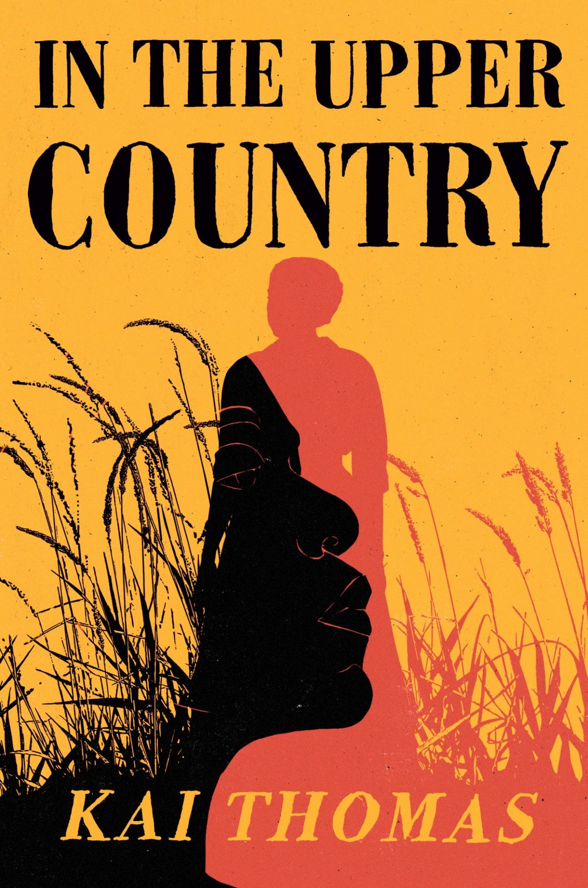 In the Upper Country Cover Image