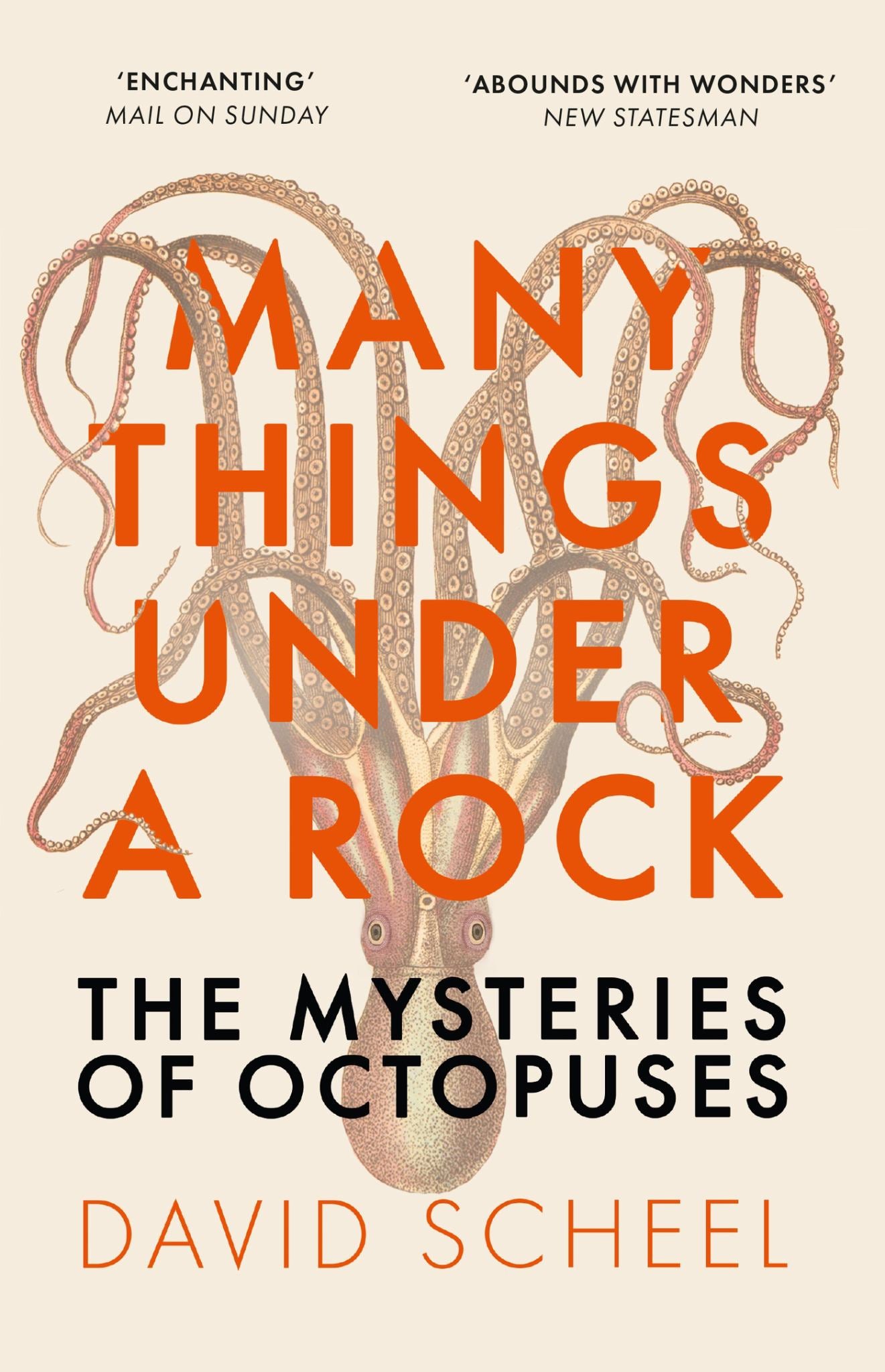 Many Things under a Rock Cover Image