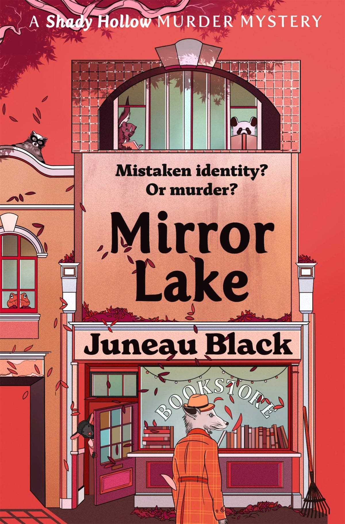 Mirror Lake Cover Image