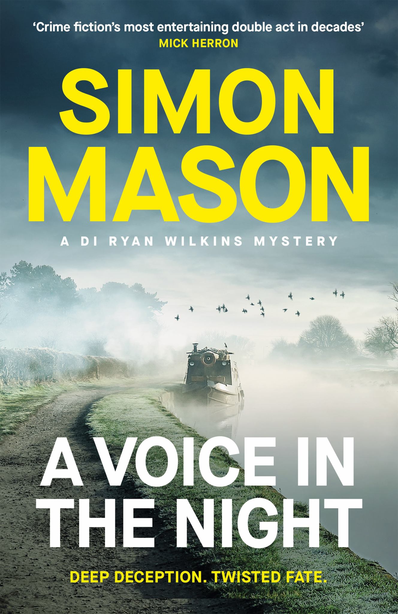 A Voice in the Night Cover Image