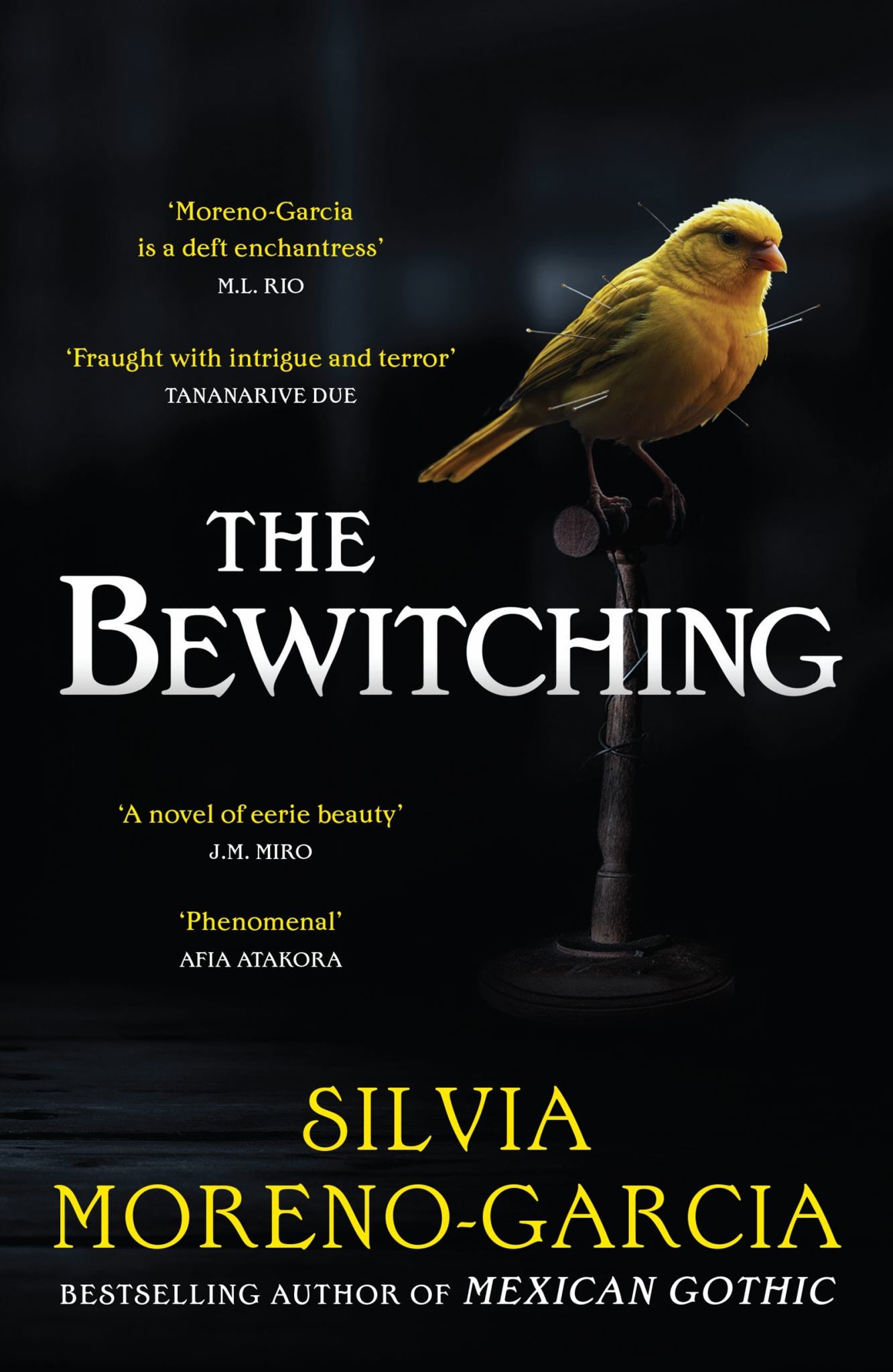 The Bewitching Cover Image