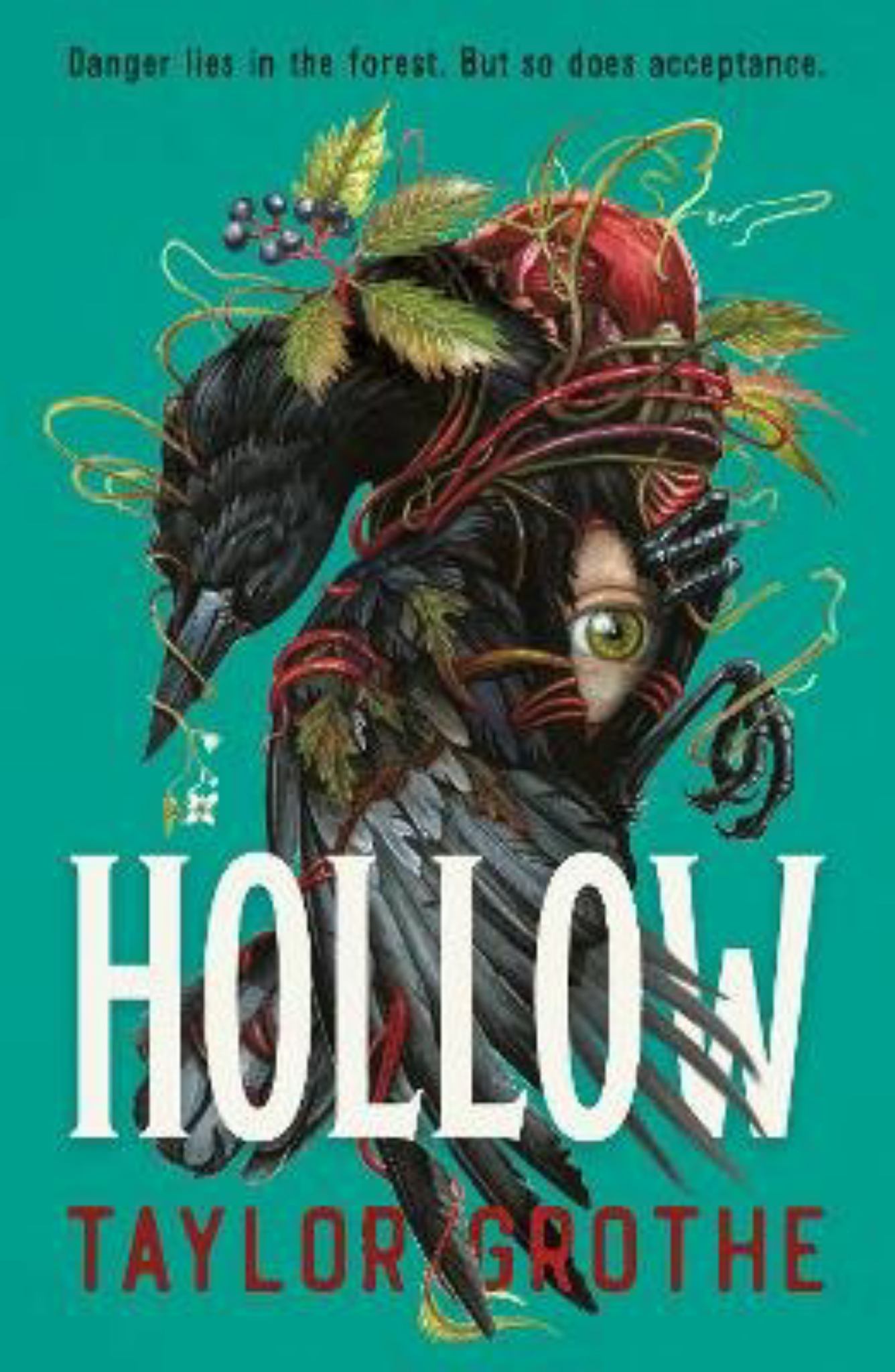 Hollow Cover Image