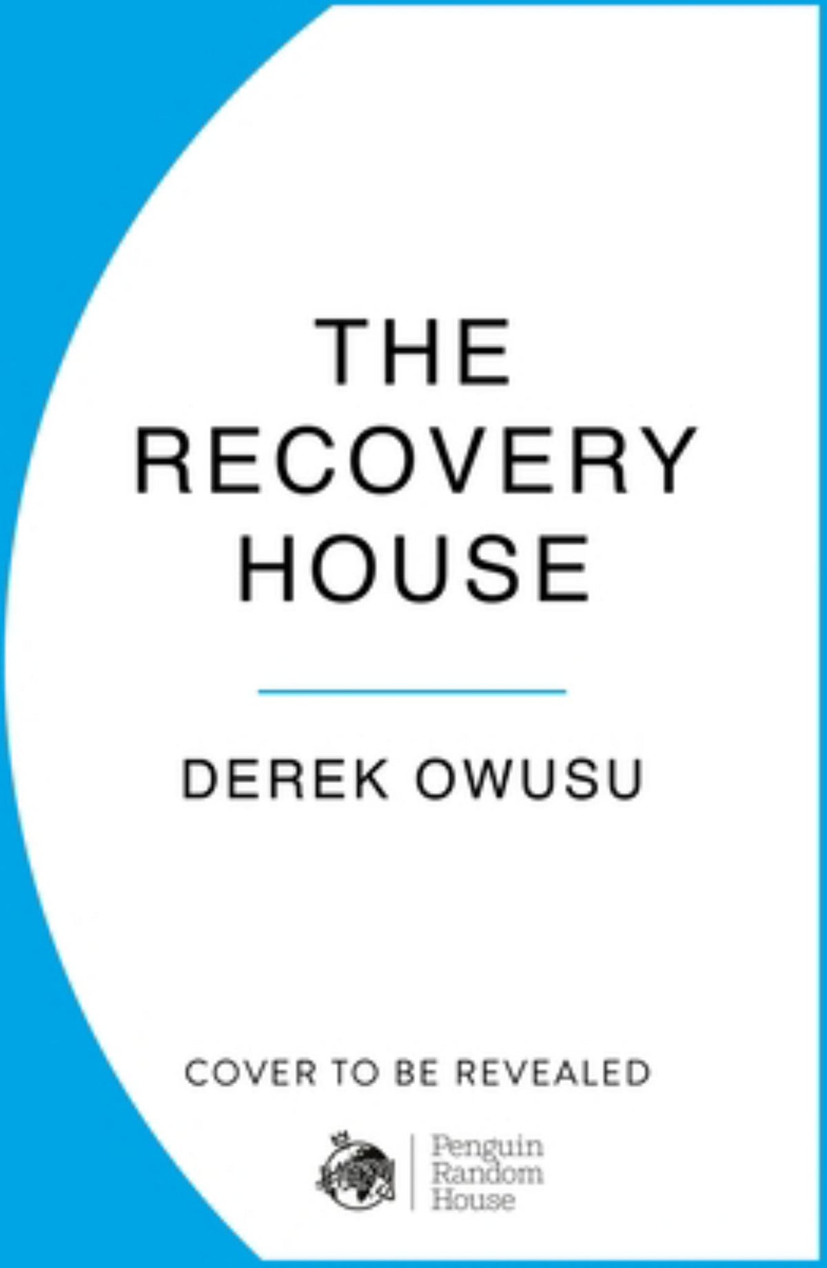 The Recovery House Cover Image