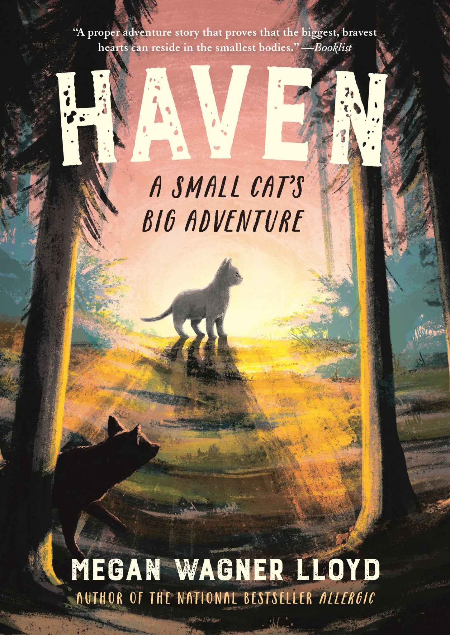 Haven Cover Image
