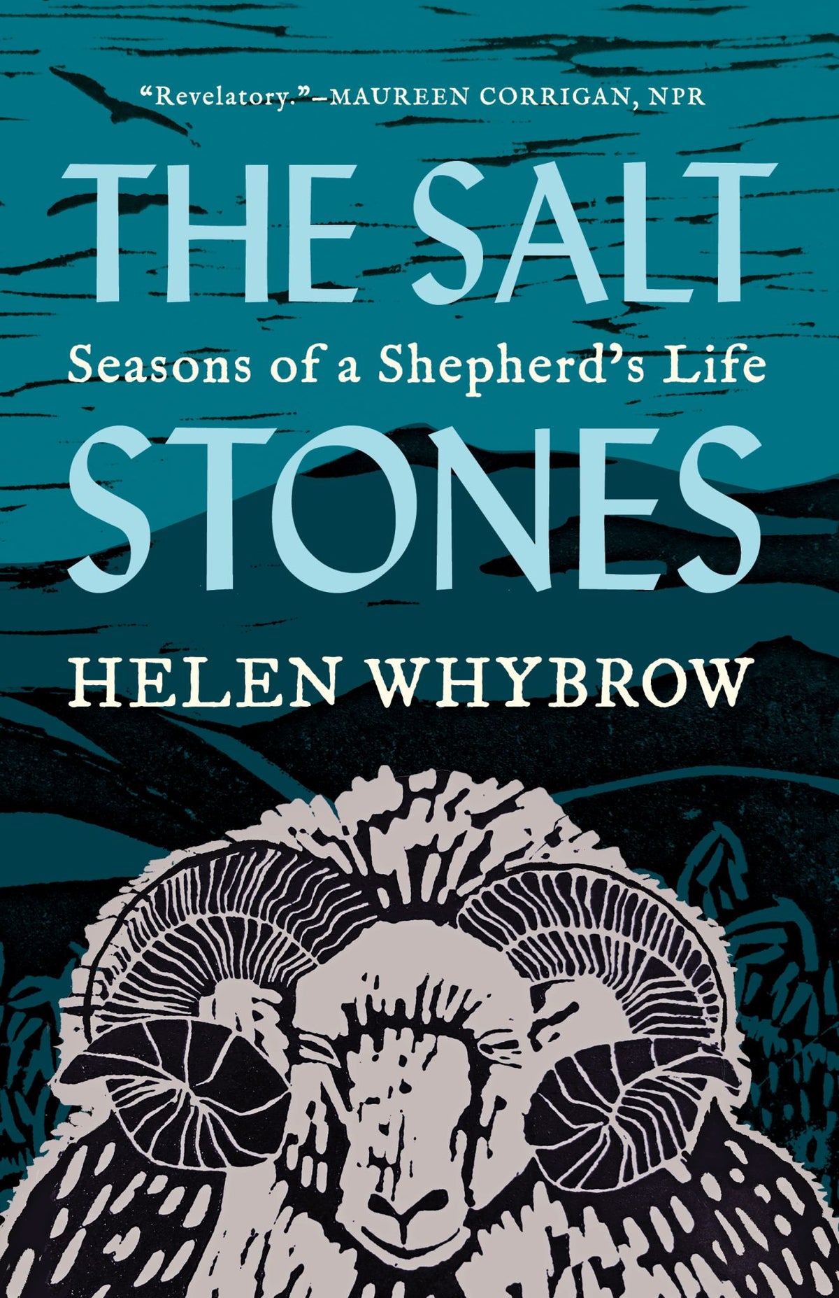 The Salt Stones Cover Image