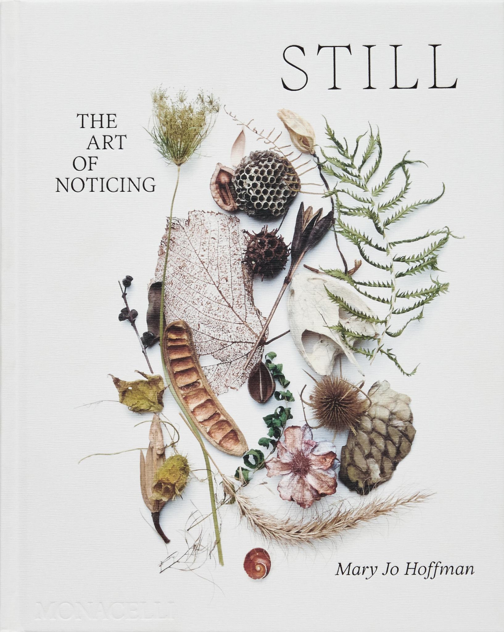 Still Cover Image
