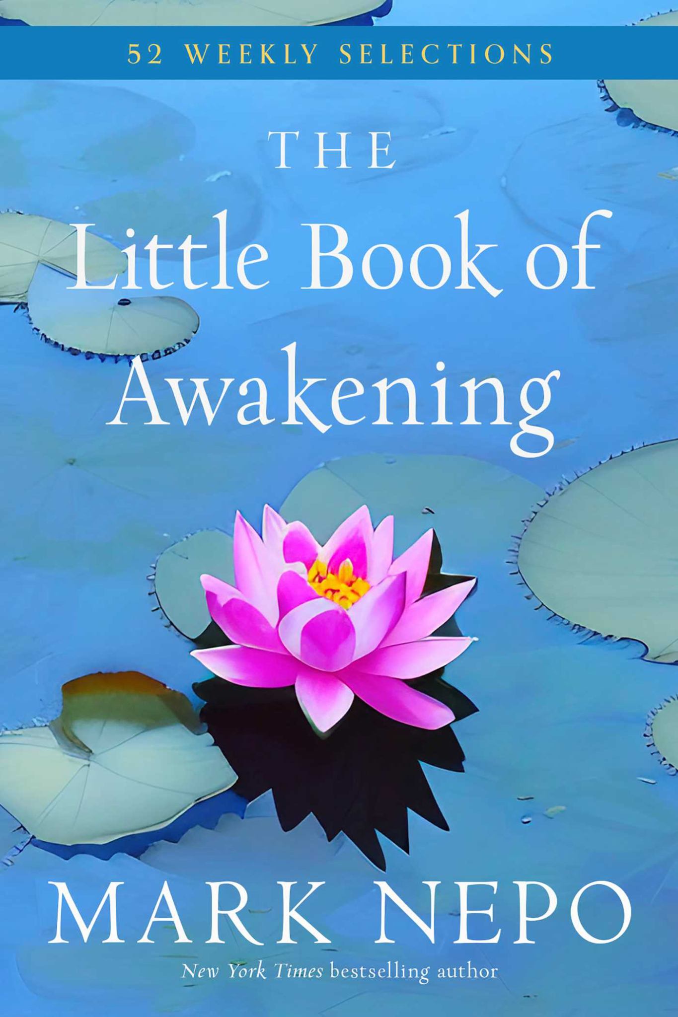The Little Book of Awakening Cover Image