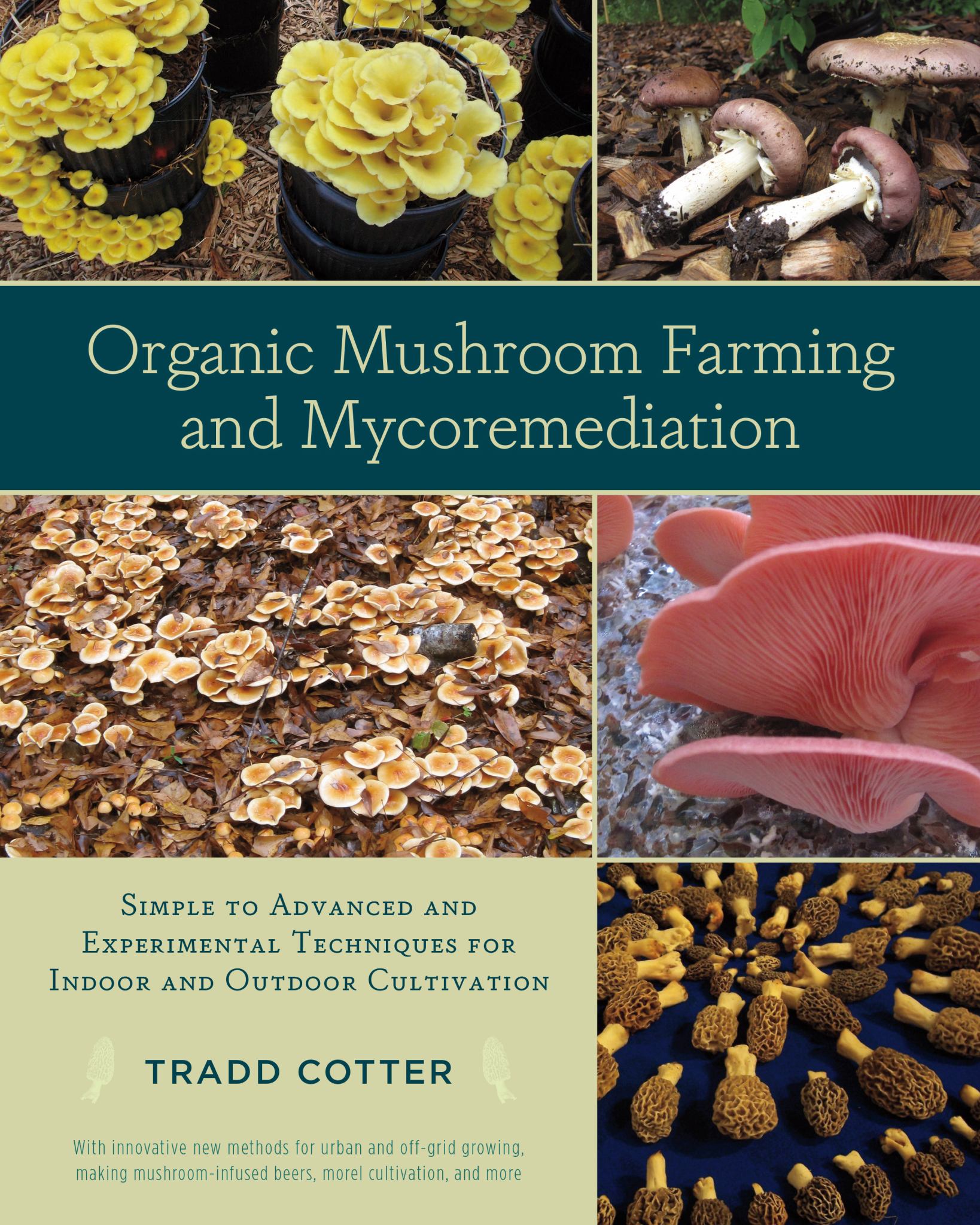 Organic Mushroom Farming and Mycoremediation Cover Image