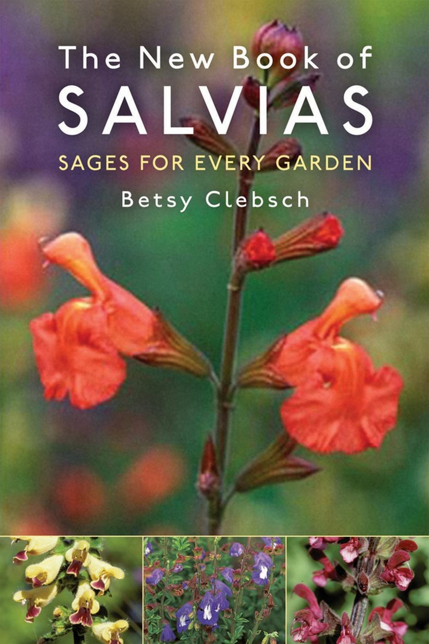 The New Book of Salvias Cover Image
