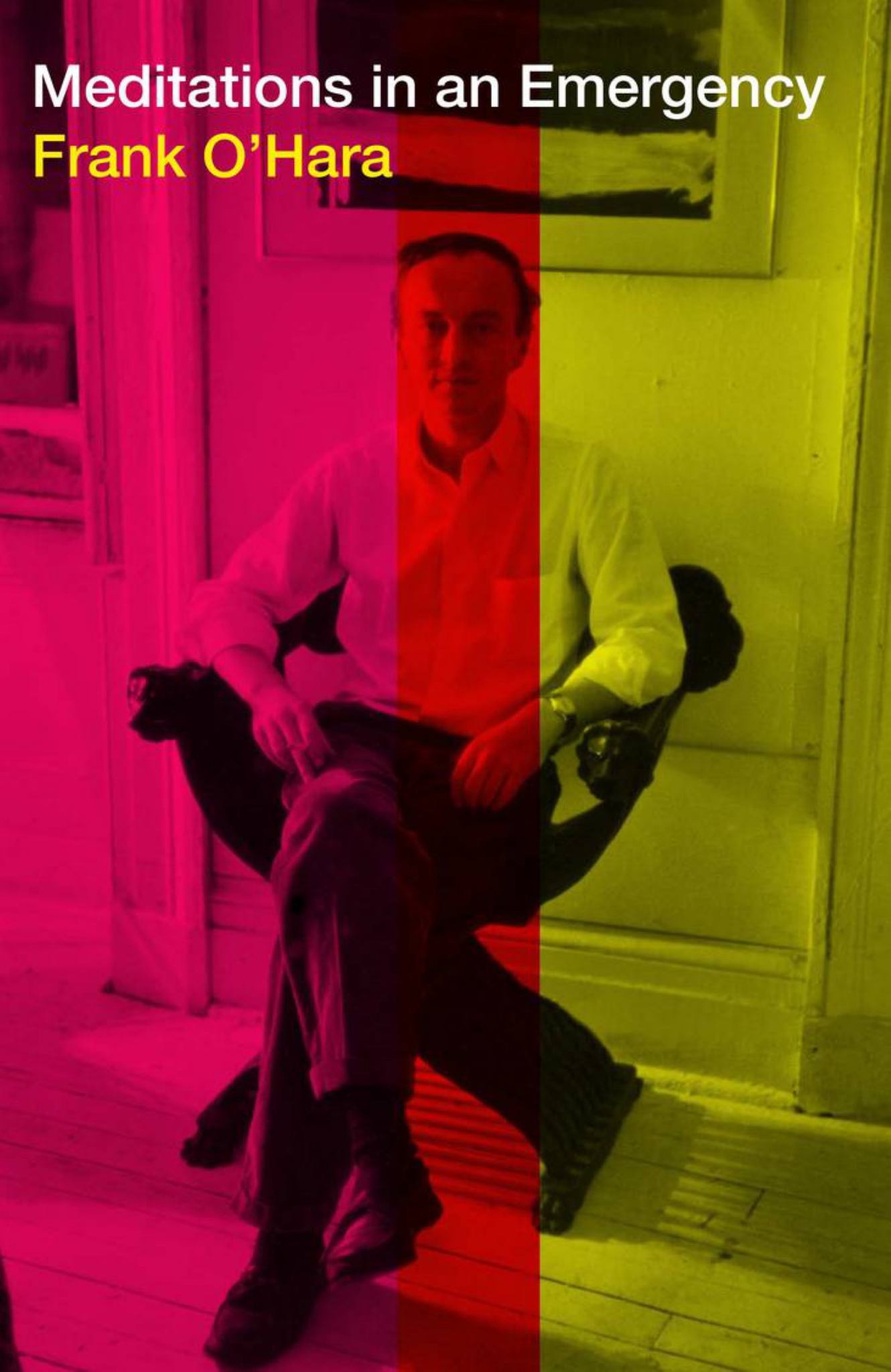 Meditations in an Emergency Cover Image