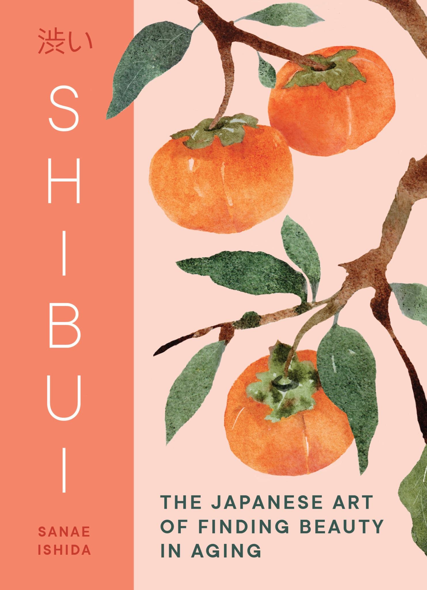 Shibui Cover Image
