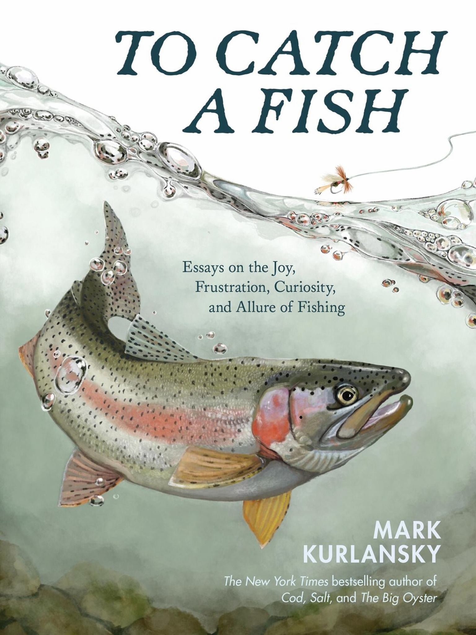 To Catch a Fish Cover Image