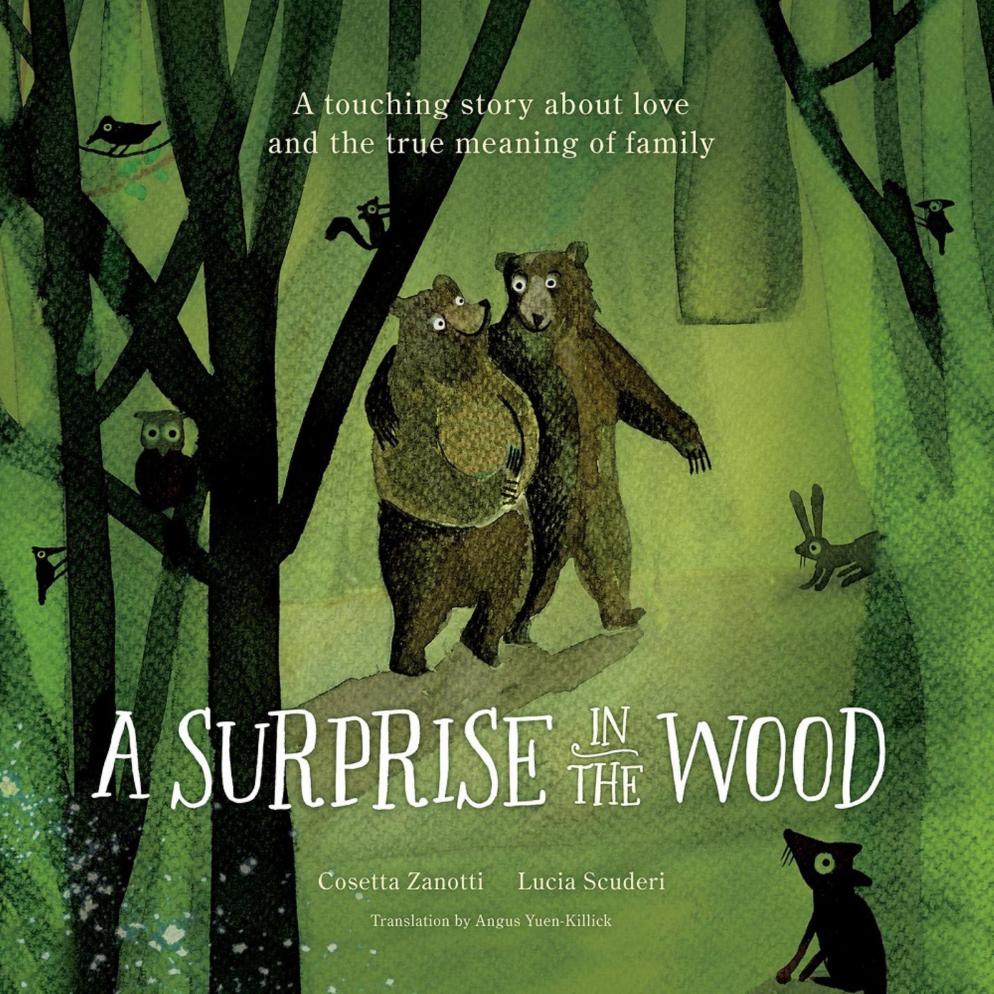 A Surprise in the Wood Cover Image