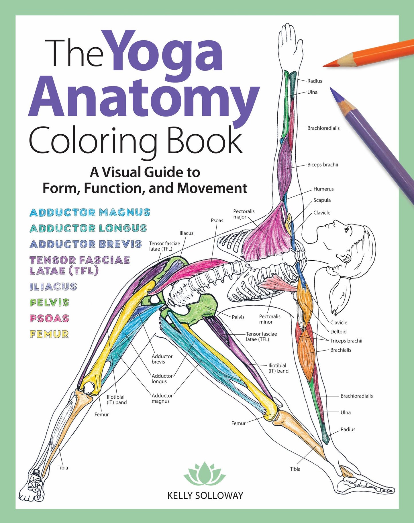Yoga Anatomy Coloring Book Cover Image