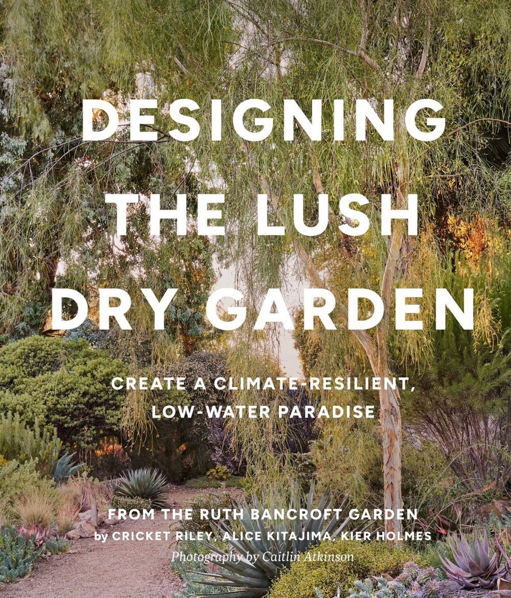 Designing the Lush Dry Garden Cover Image