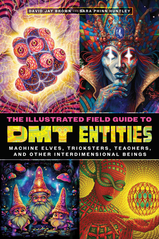 The Illustrated Field Guide to DMT Entities Cover Image