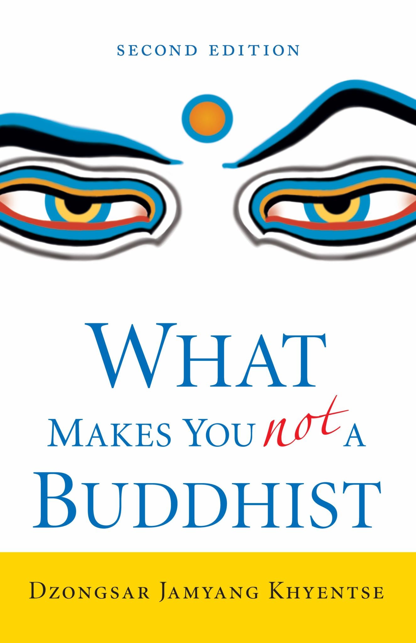 What Makes You Not a Buddhist Cover Image