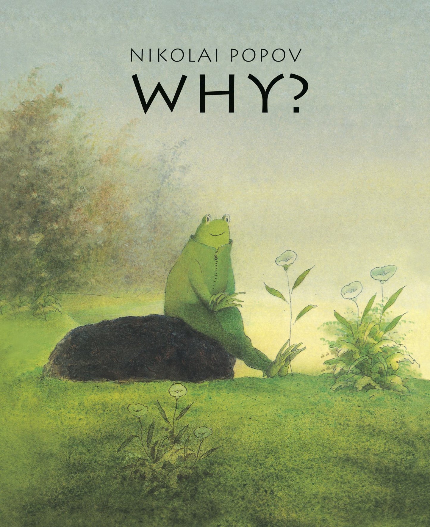 Why? Cover Image