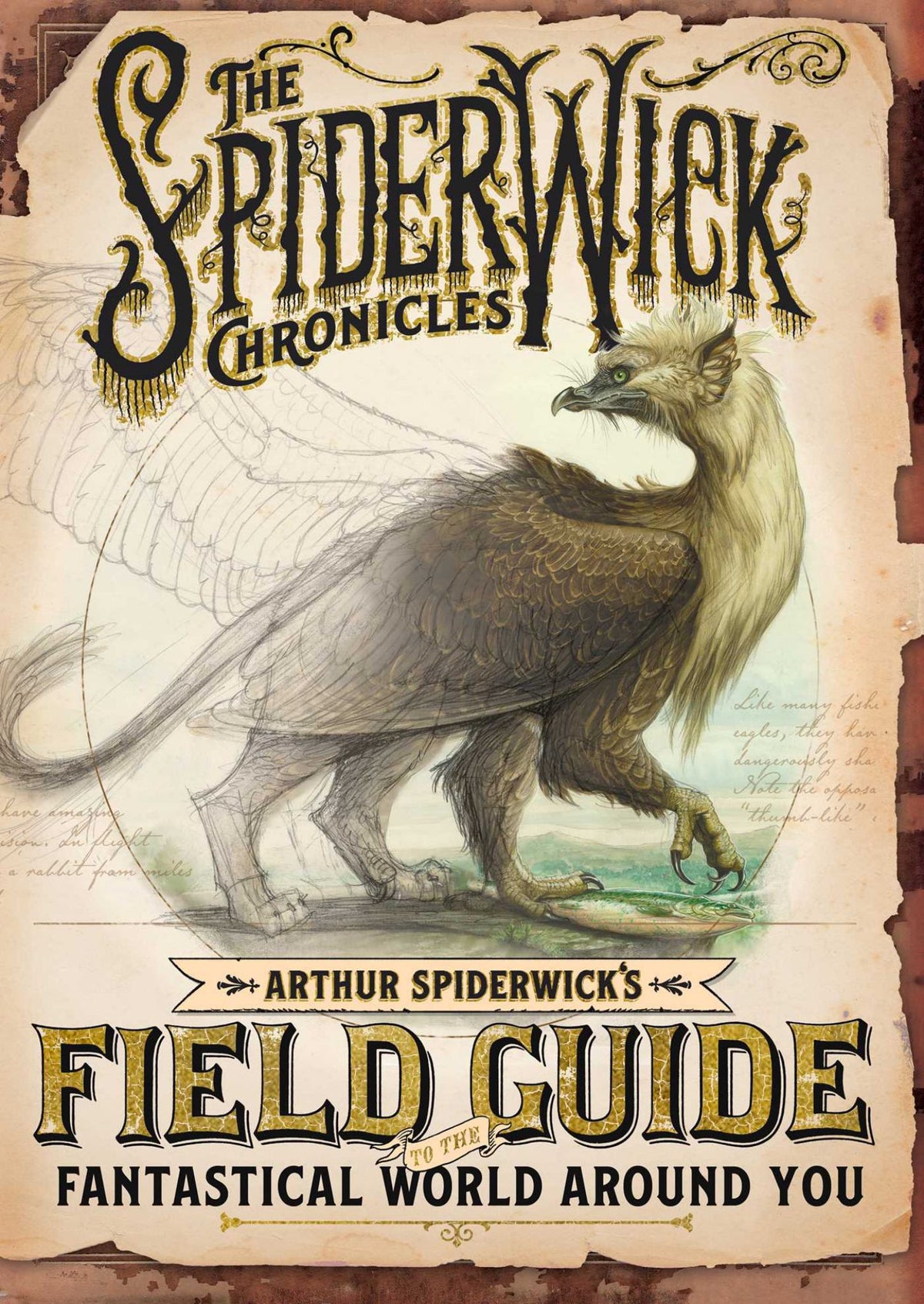 Arthur Spiderwick's Field Guide to the Fantastical World Around You Cover Image